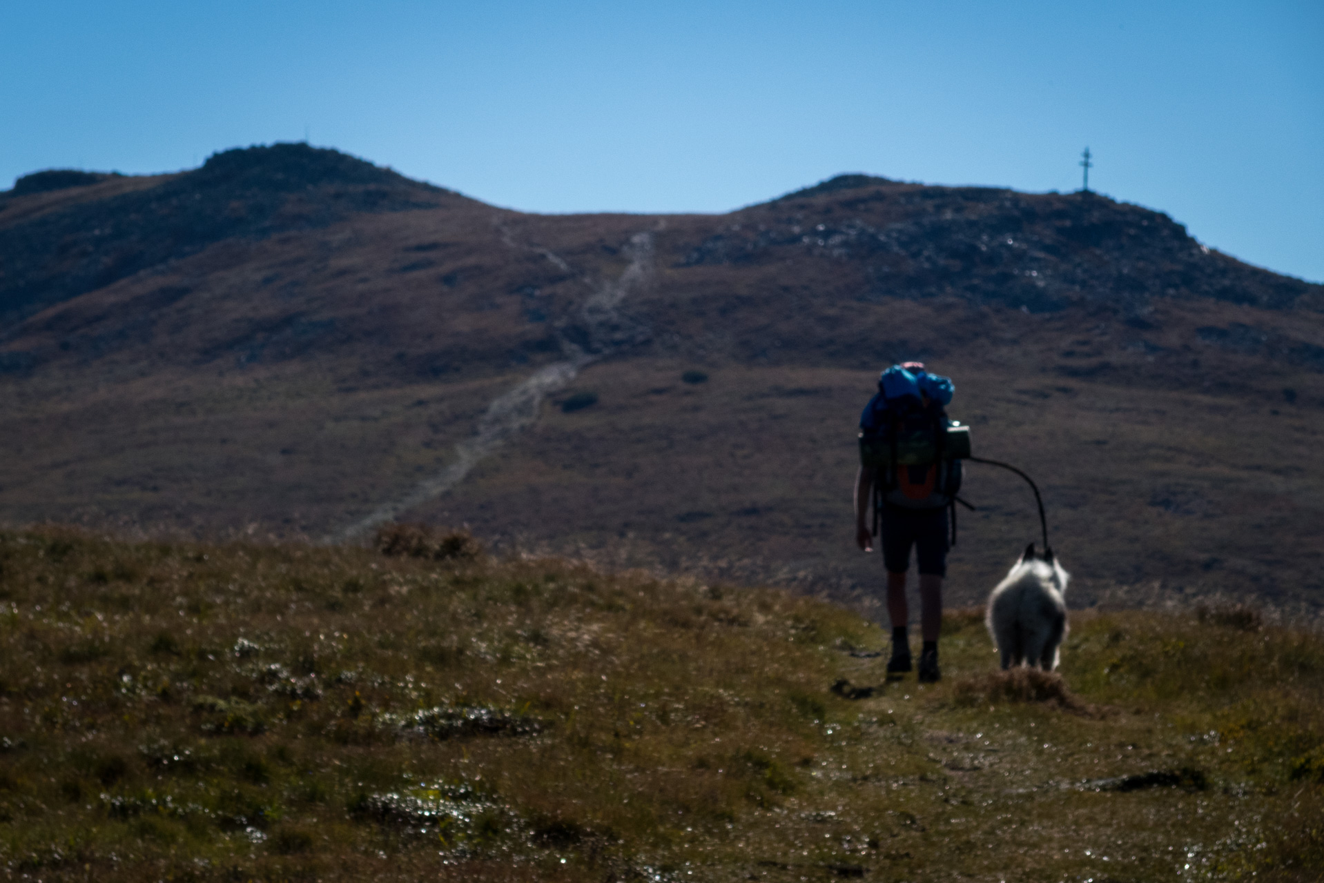 Kráľova hoľa z Andrejcovej (Nízke Tatry)