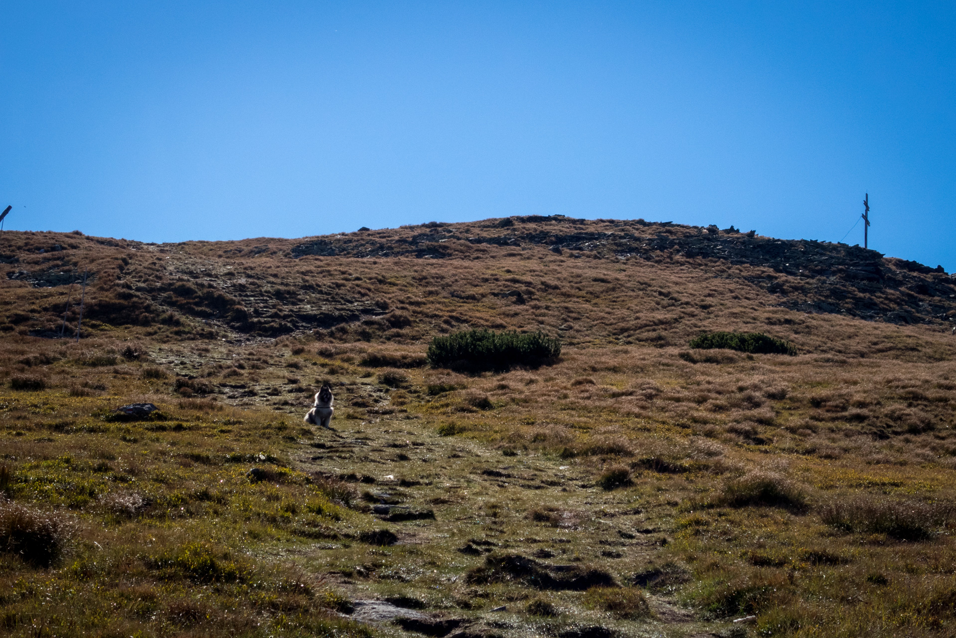 Kráľova hoľa z Andrejcovej (Nízke Tatry)