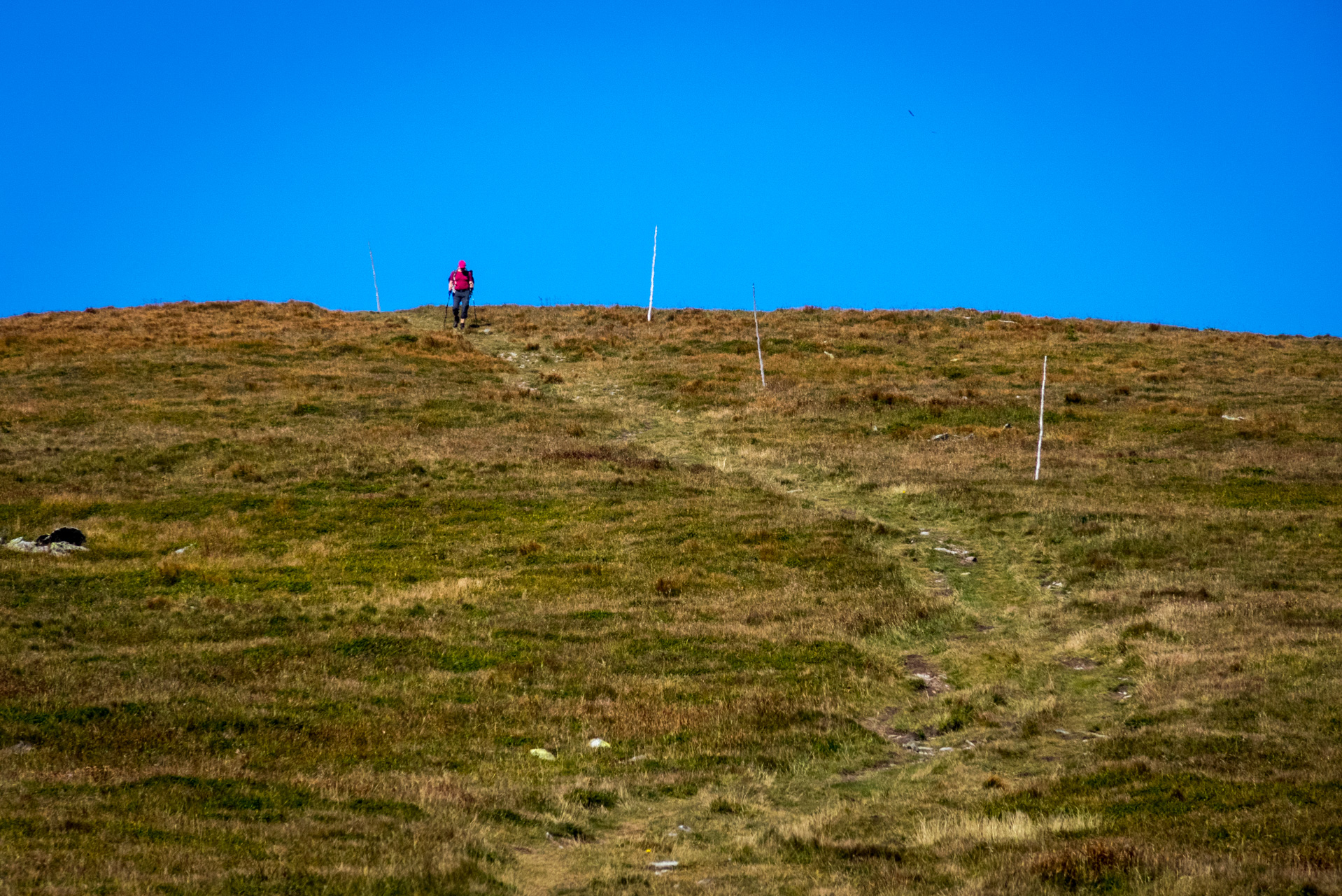 Kráľova hoľa z Andrejcovej (Nízke Tatry)