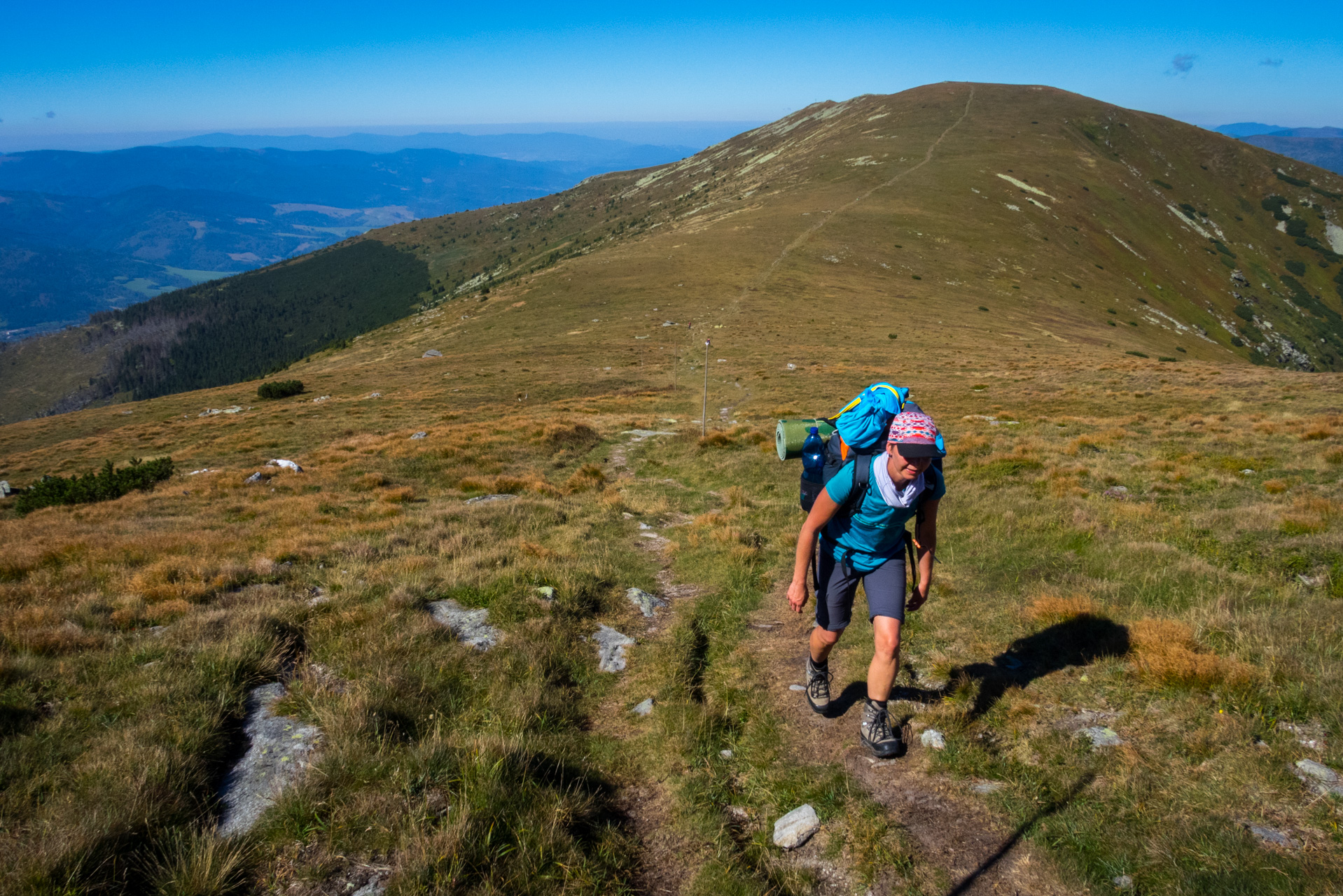 Kráľova hoľa z Andrejcovej (Nízke Tatry)