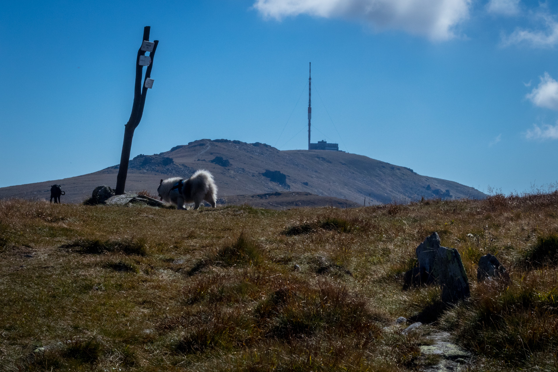 Kráľova hoľa z Andrejcovej (Nízke Tatry)