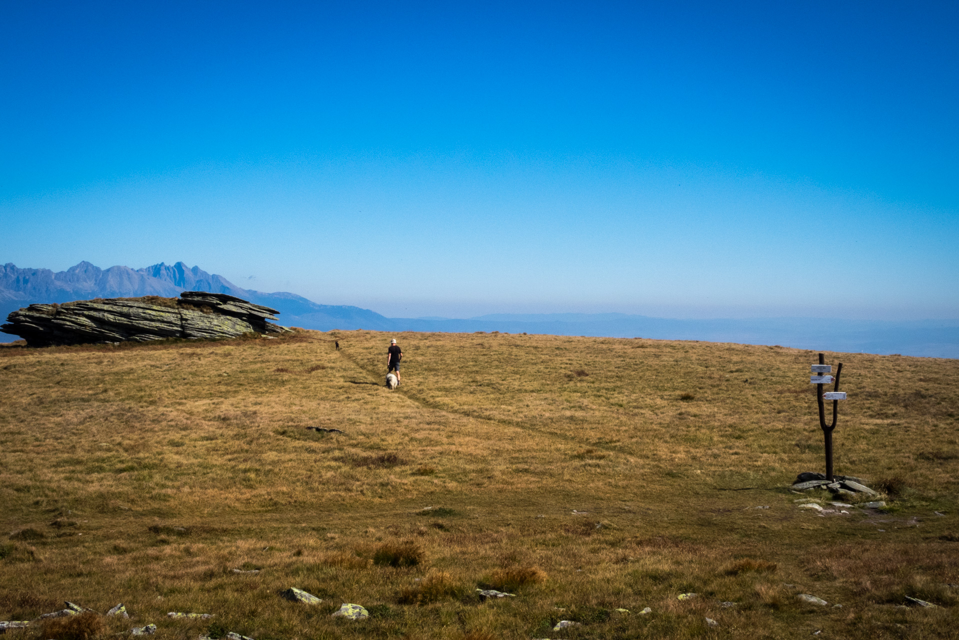 Kráľova hoľa z Andrejcovej (Nízke Tatry)