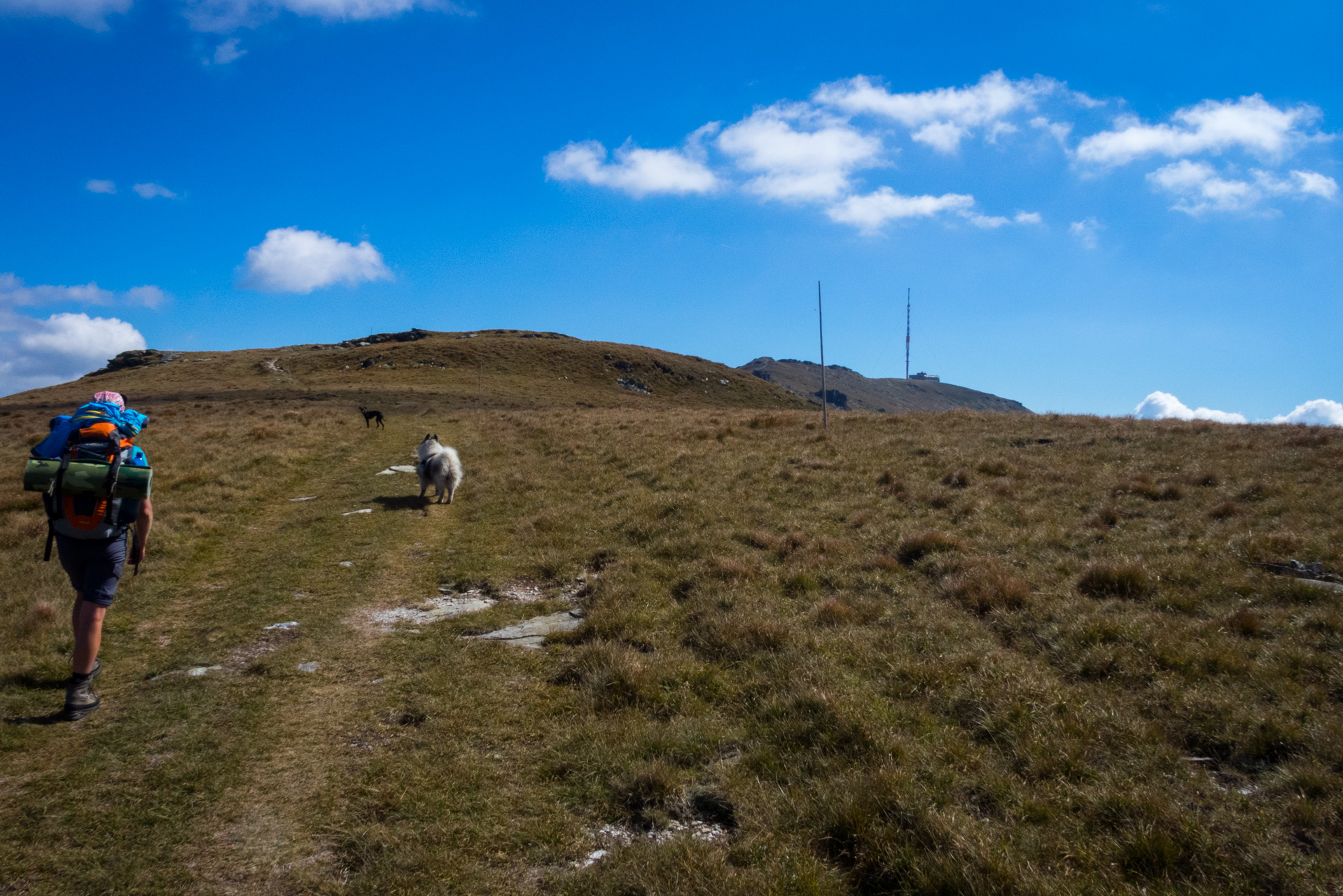 Kráľova hoľa z Andrejcovej (Nízke Tatry)