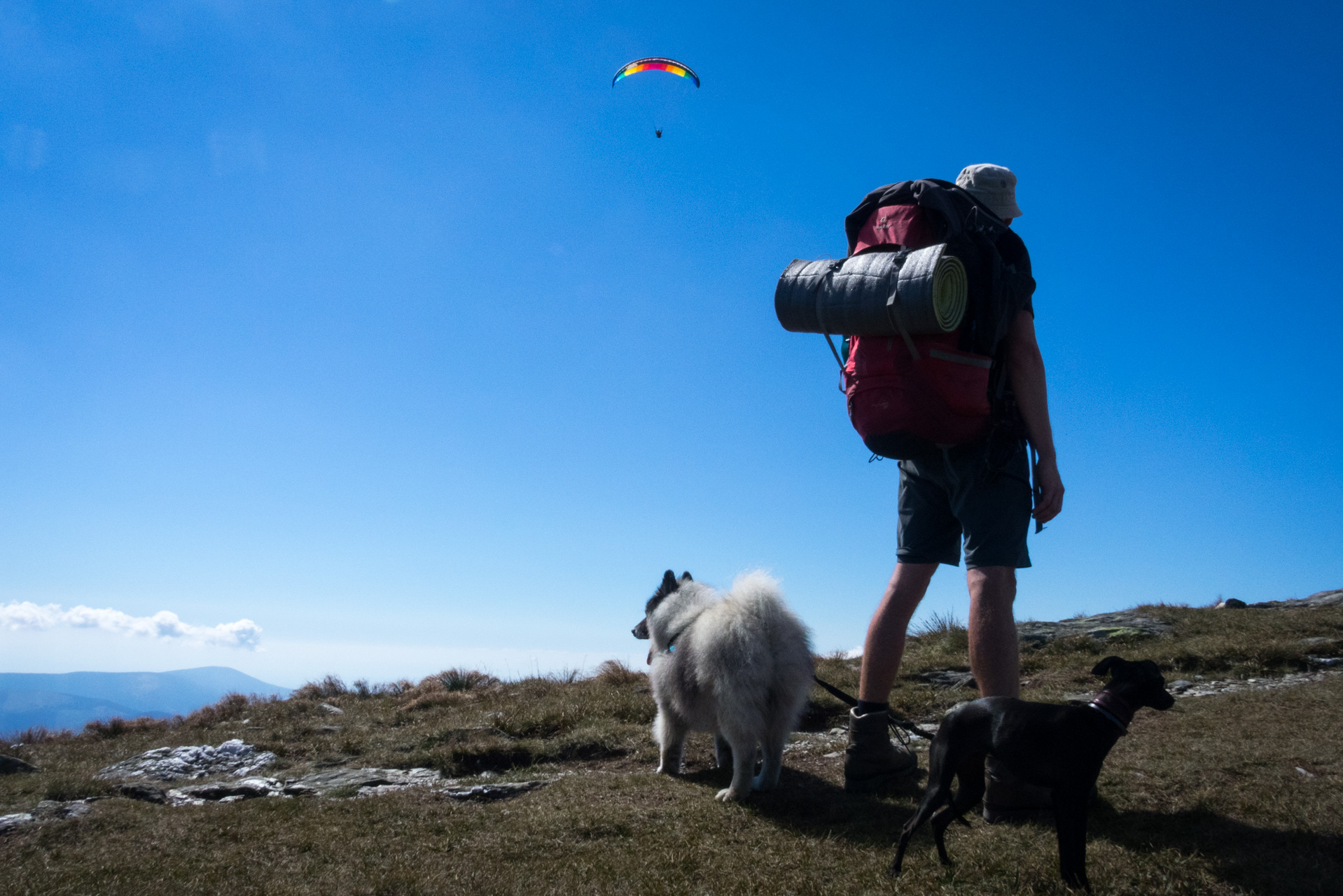 Kráľova hoľa z Andrejcovej (Nízke Tatry)