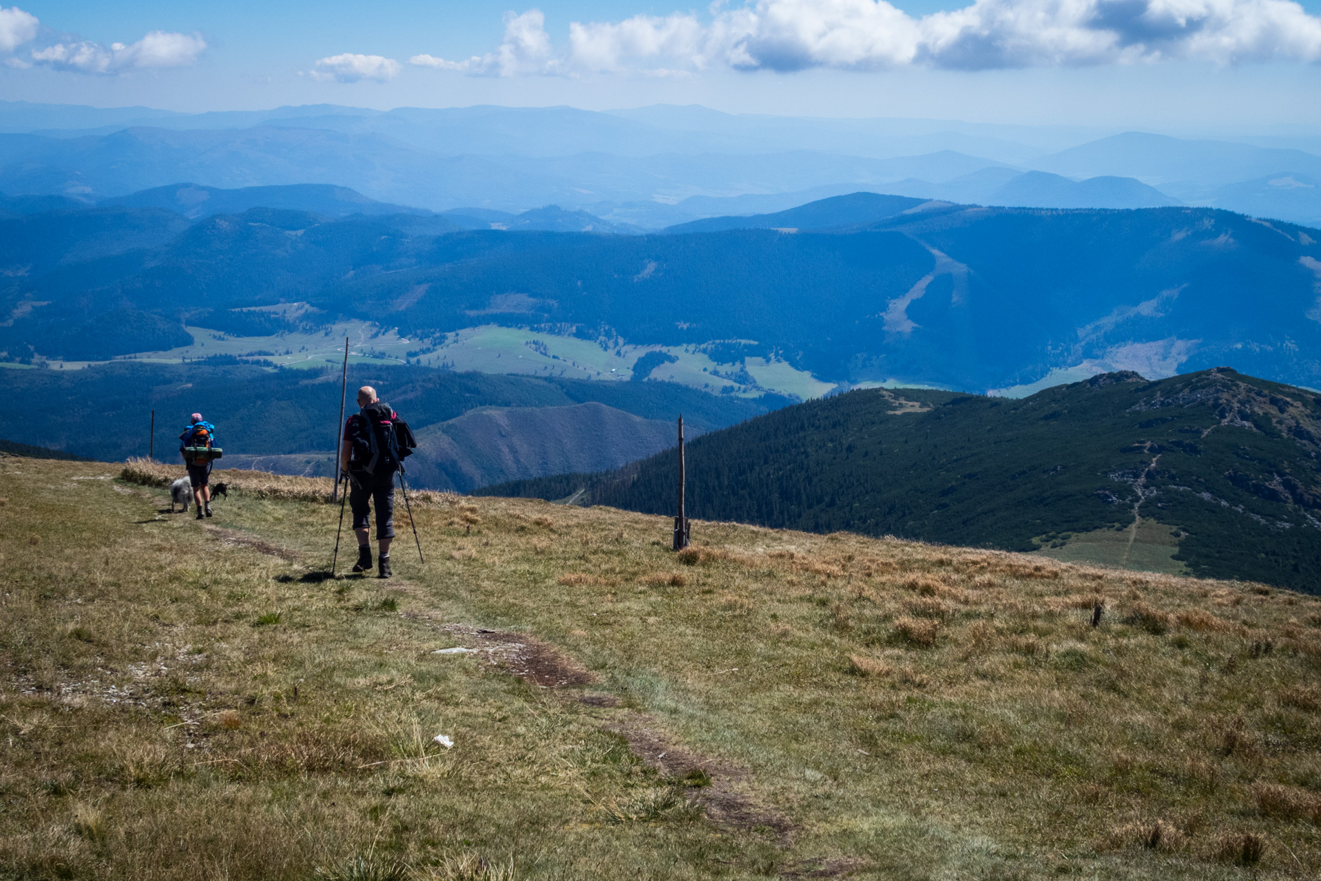 Kráľova hoľa z Andrejcovej (Nízke Tatry)