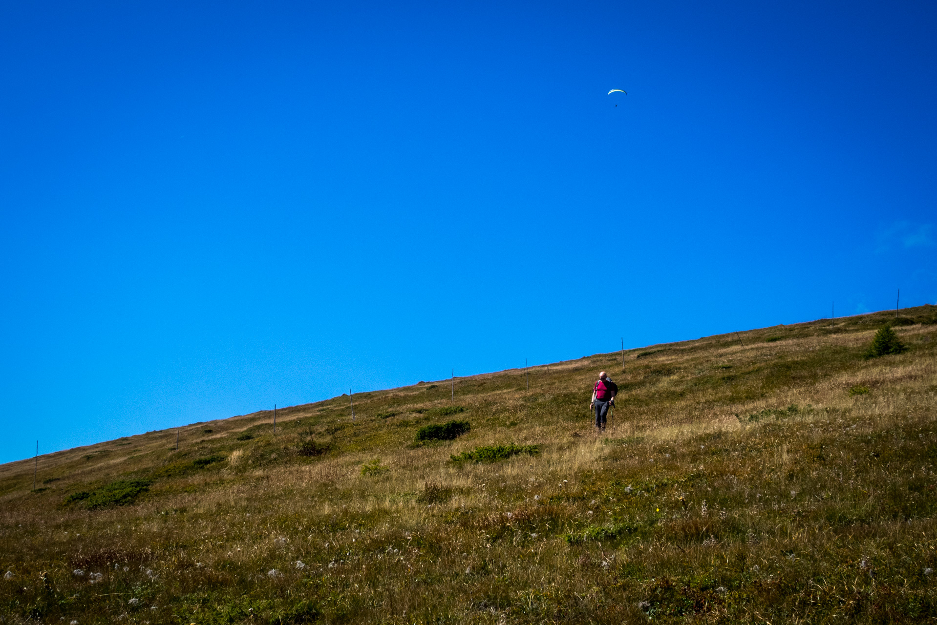 Kráľova hoľa z Andrejcovej (Nízke Tatry)