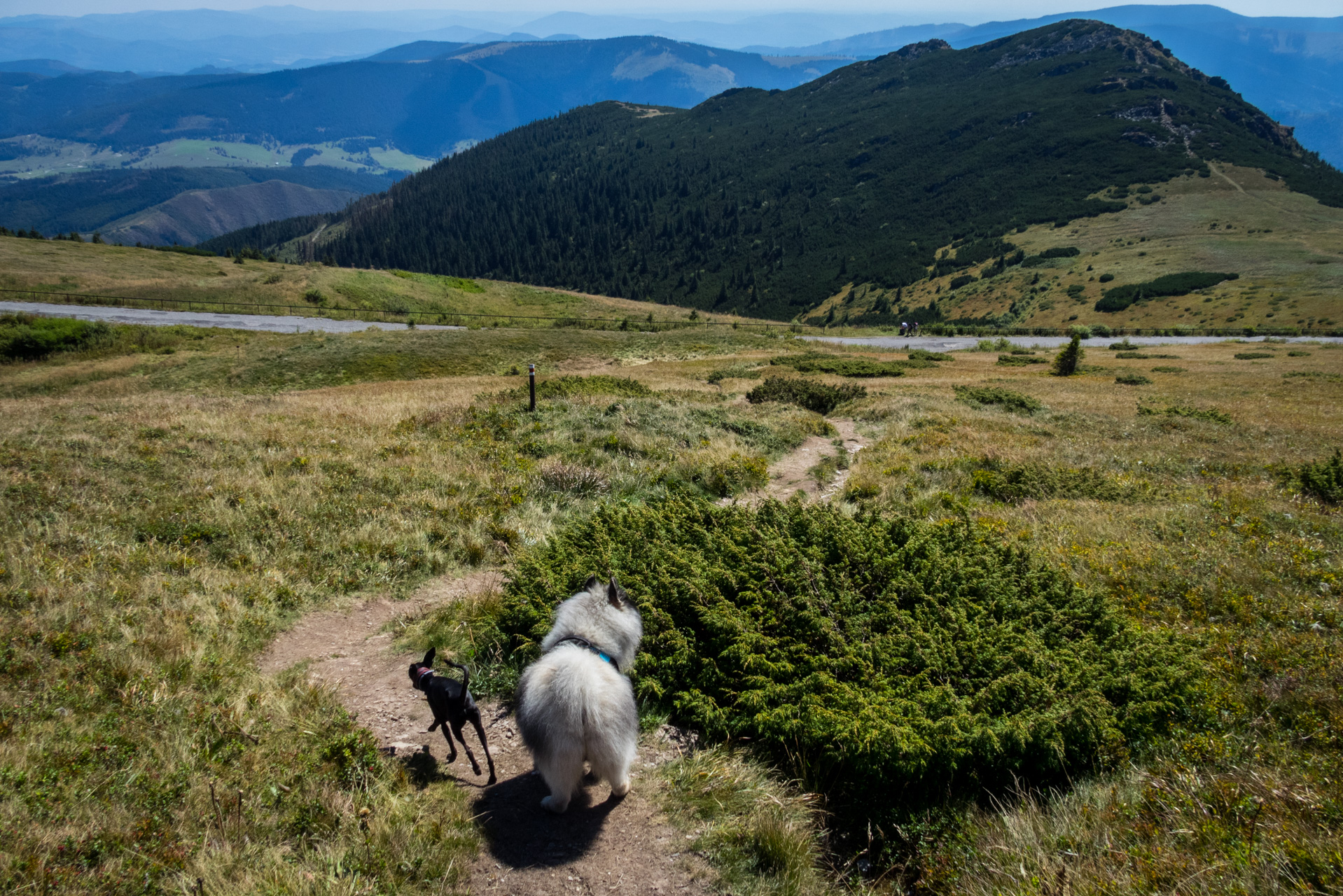 Kráľova hoľa z Andrejcovej (Nízke Tatry)