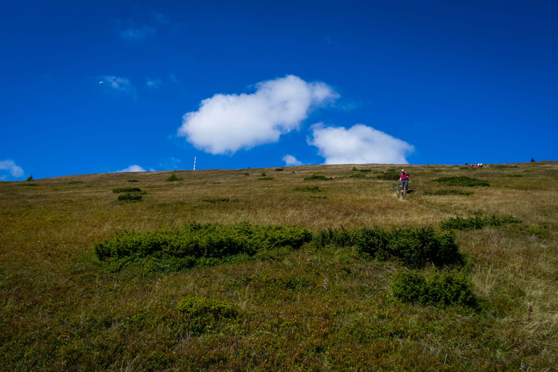 Kráľova hoľa z Andrejcovej (Nízke Tatry)