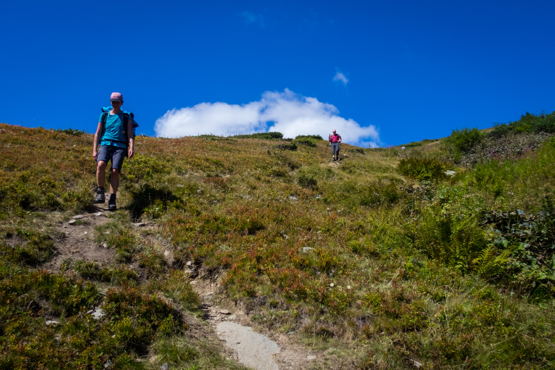 Kráľova hoľa z Andrejcovej (Nízke Tatry)