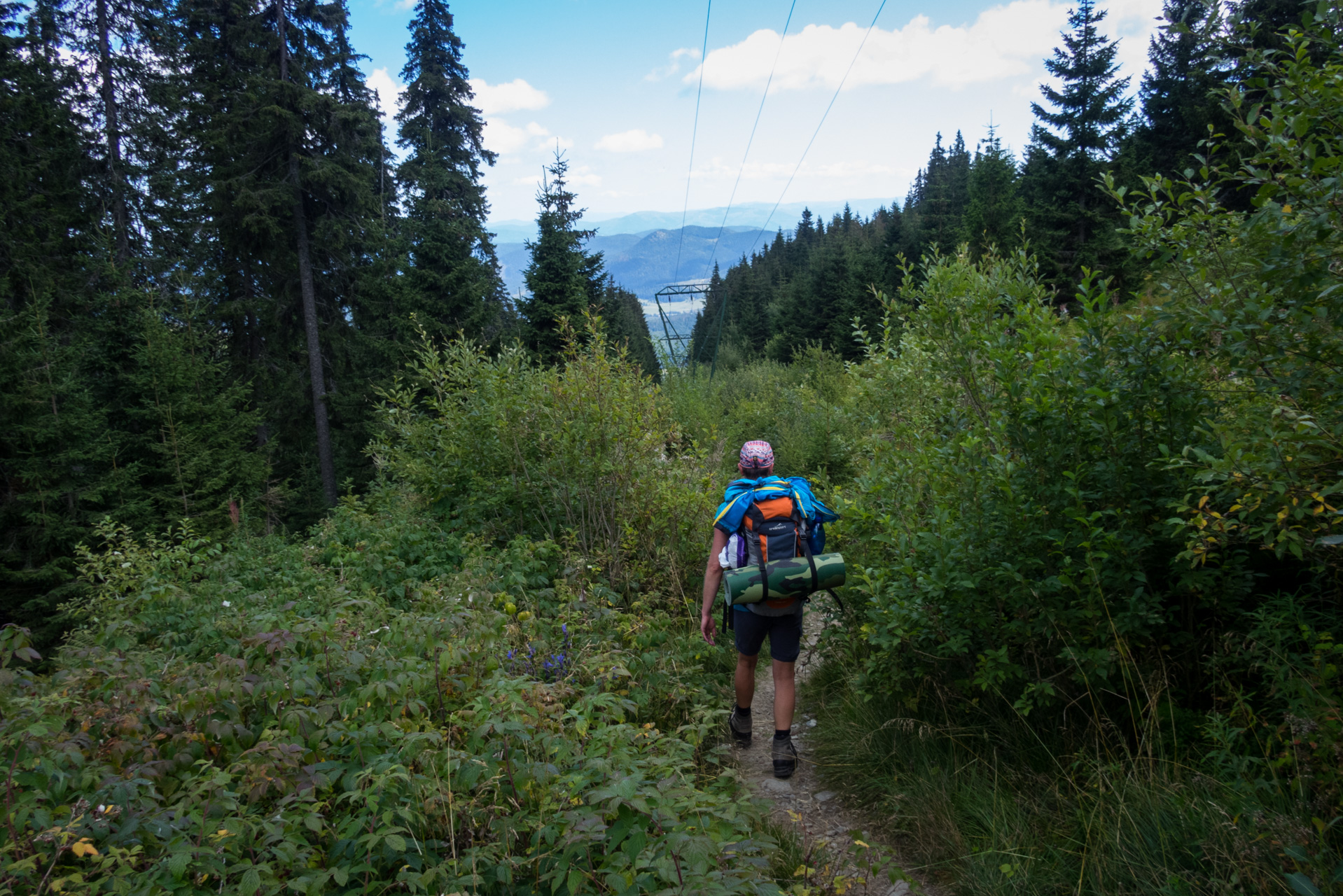 Kráľova hoľa z Andrejcovej (Nízke Tatry)