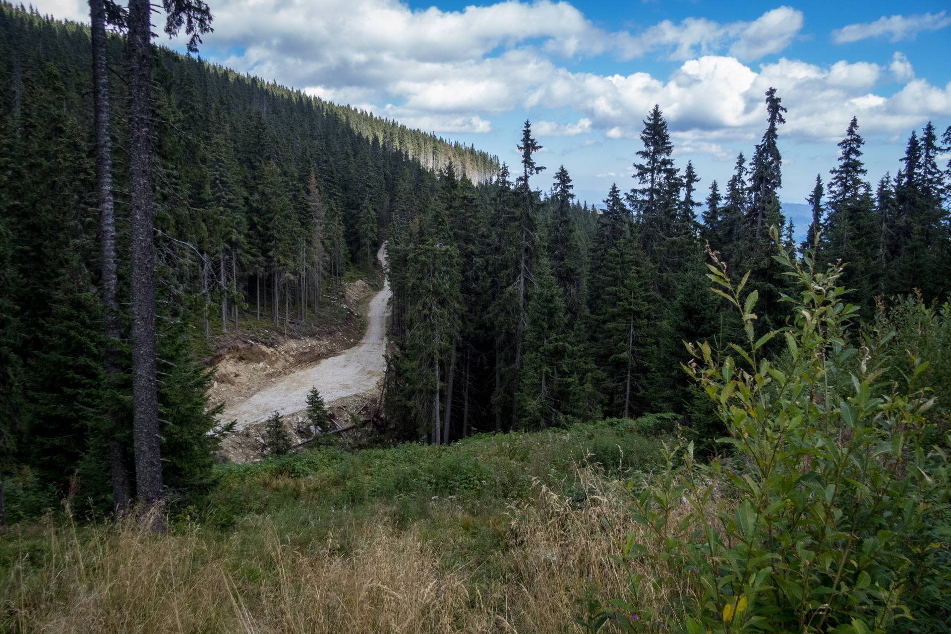 Kráľova hoľa z Andrejcovej (Nízke Tatry)