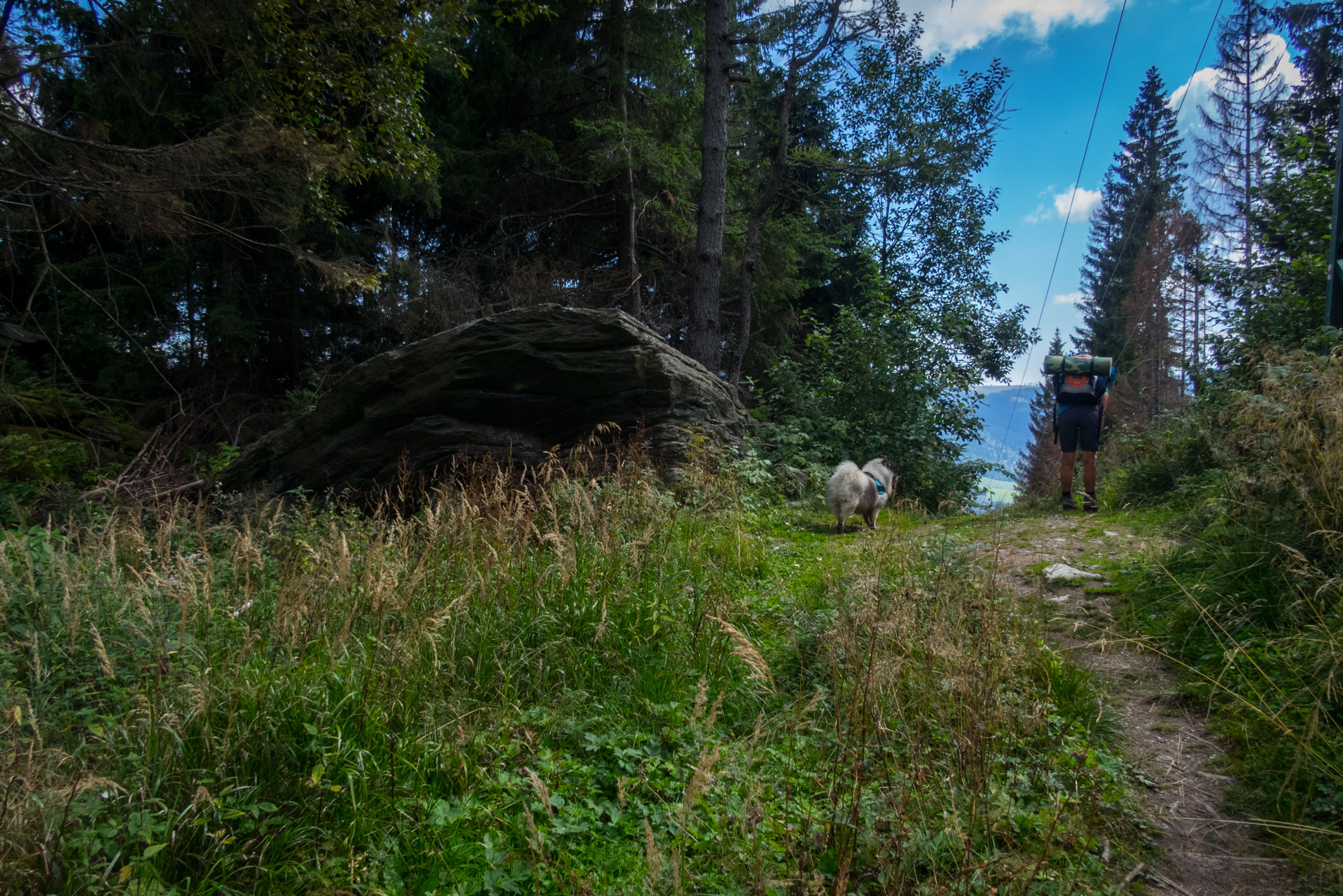 Kráľova hoľa z Andrejcovej (Nízke Tatry)