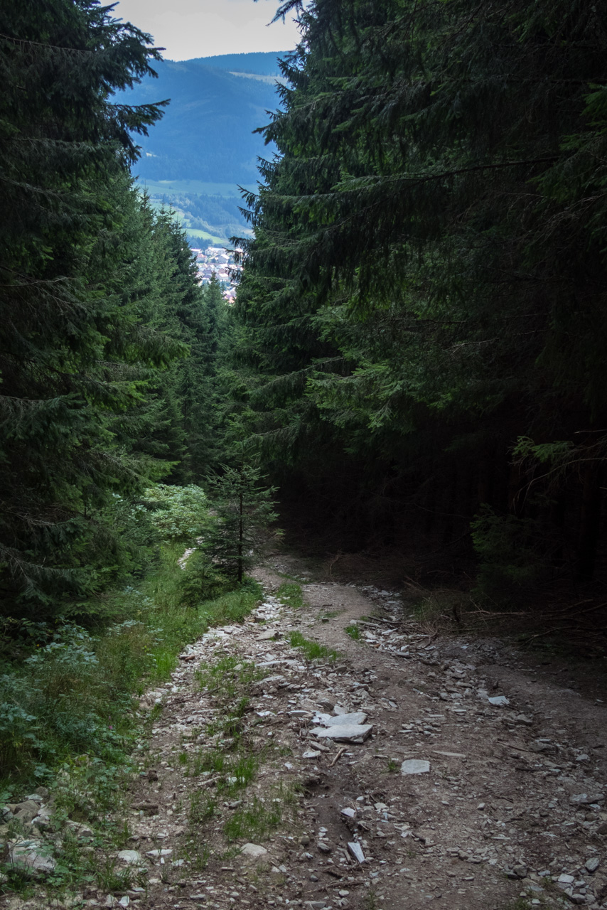 Kráľova hoľa z Andrejcovej (Nízke Tatry)