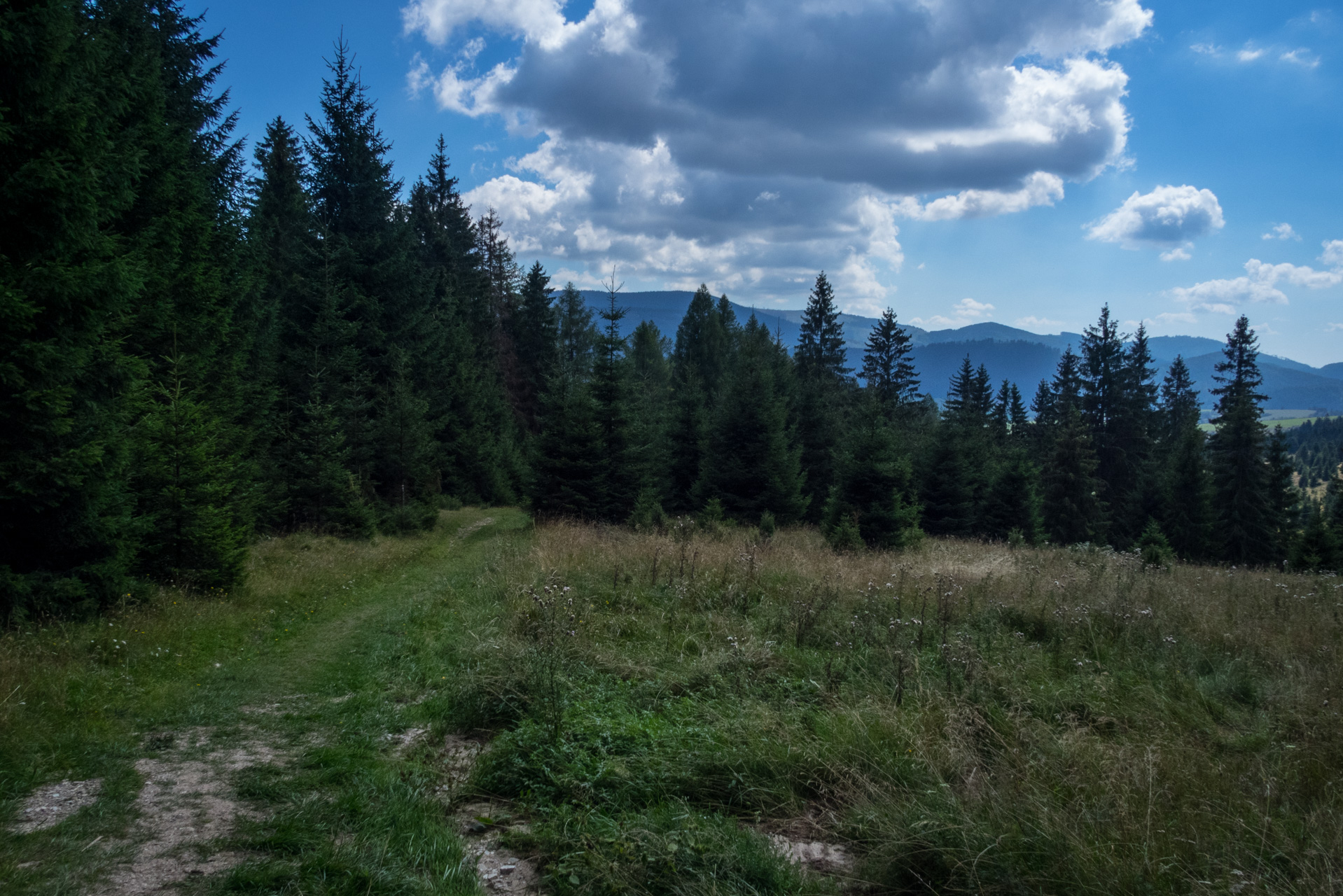 Kráľova hoľa z Andrejcovej (Nízke Tatry)