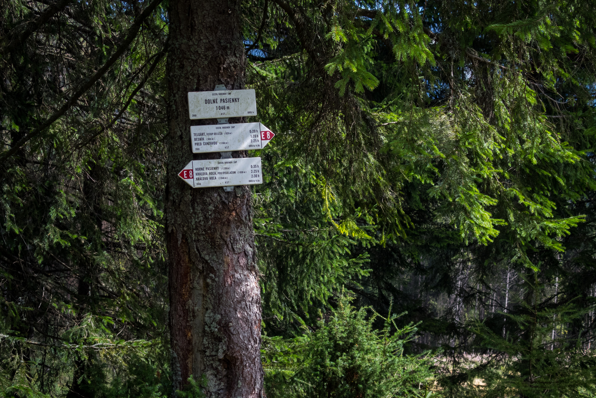 Kráľova hoľa z Andrejcovej (Nízke Tatry)