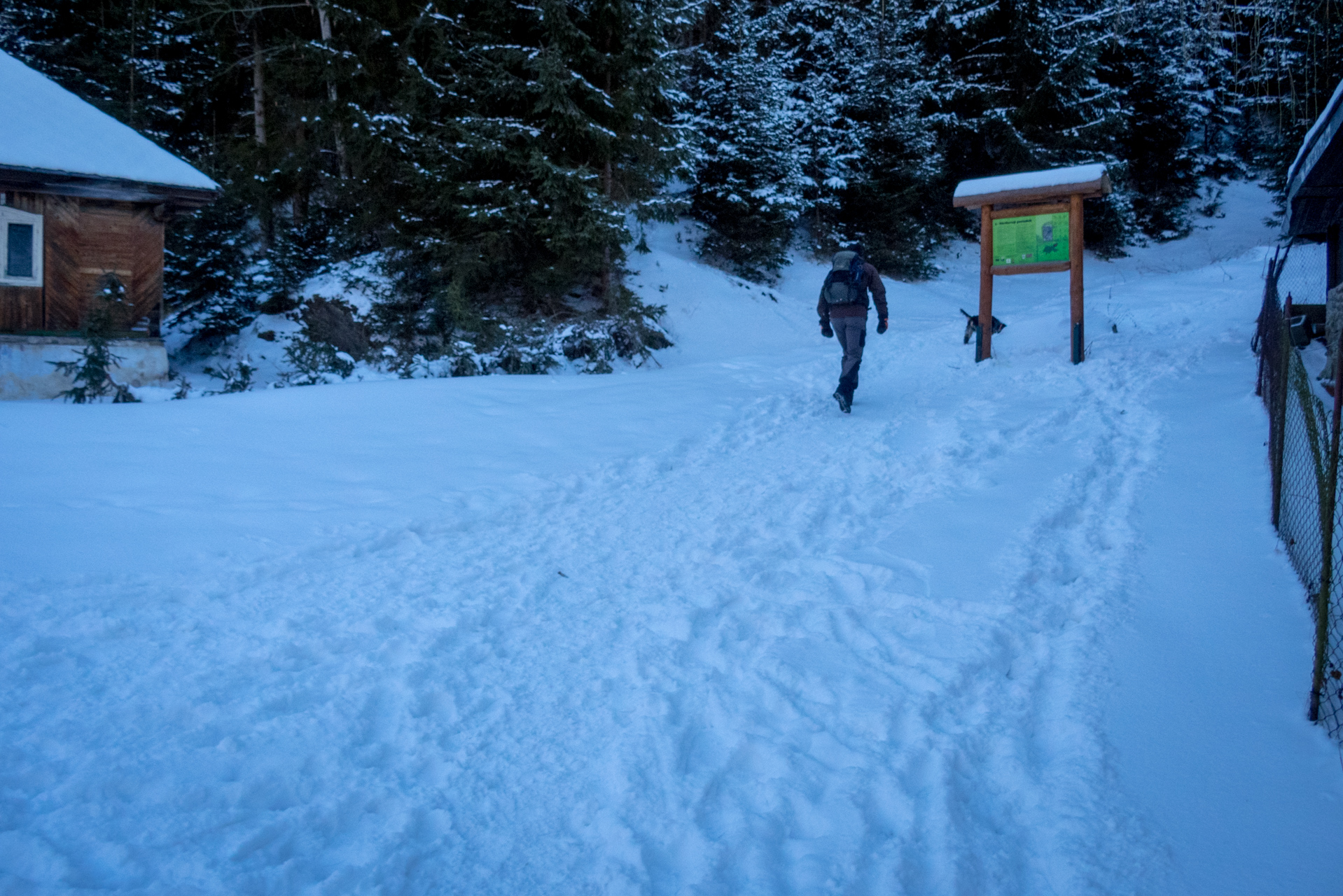 Kráľova hoľa zo Šumiaca (Nízke Tatry)