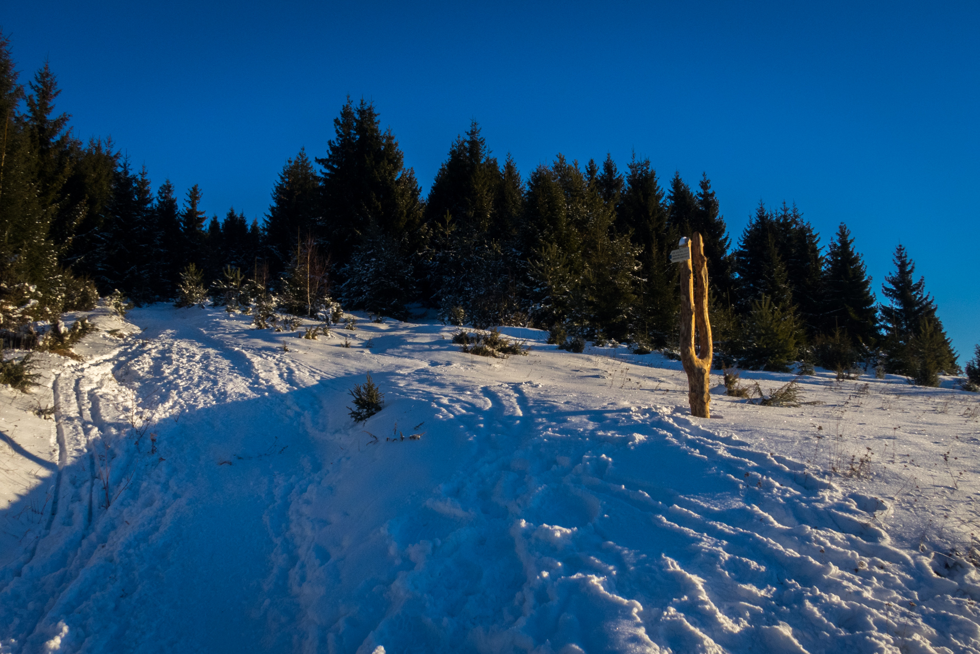 Kráľova hoľa zo Šumiaca (Nízke Tatry)