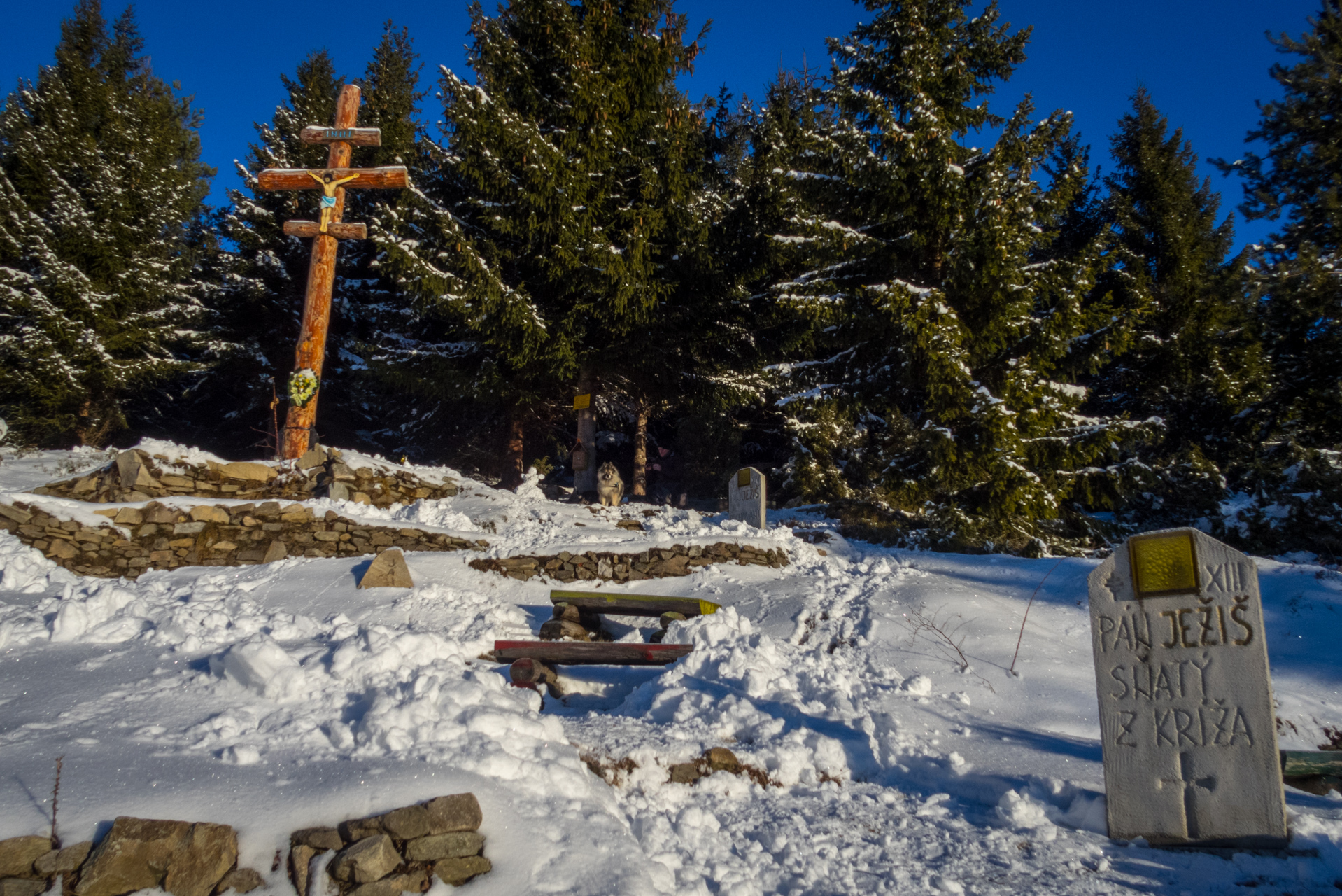 Kráľova hoľa zo Šumiaca (Nízke Tatry)