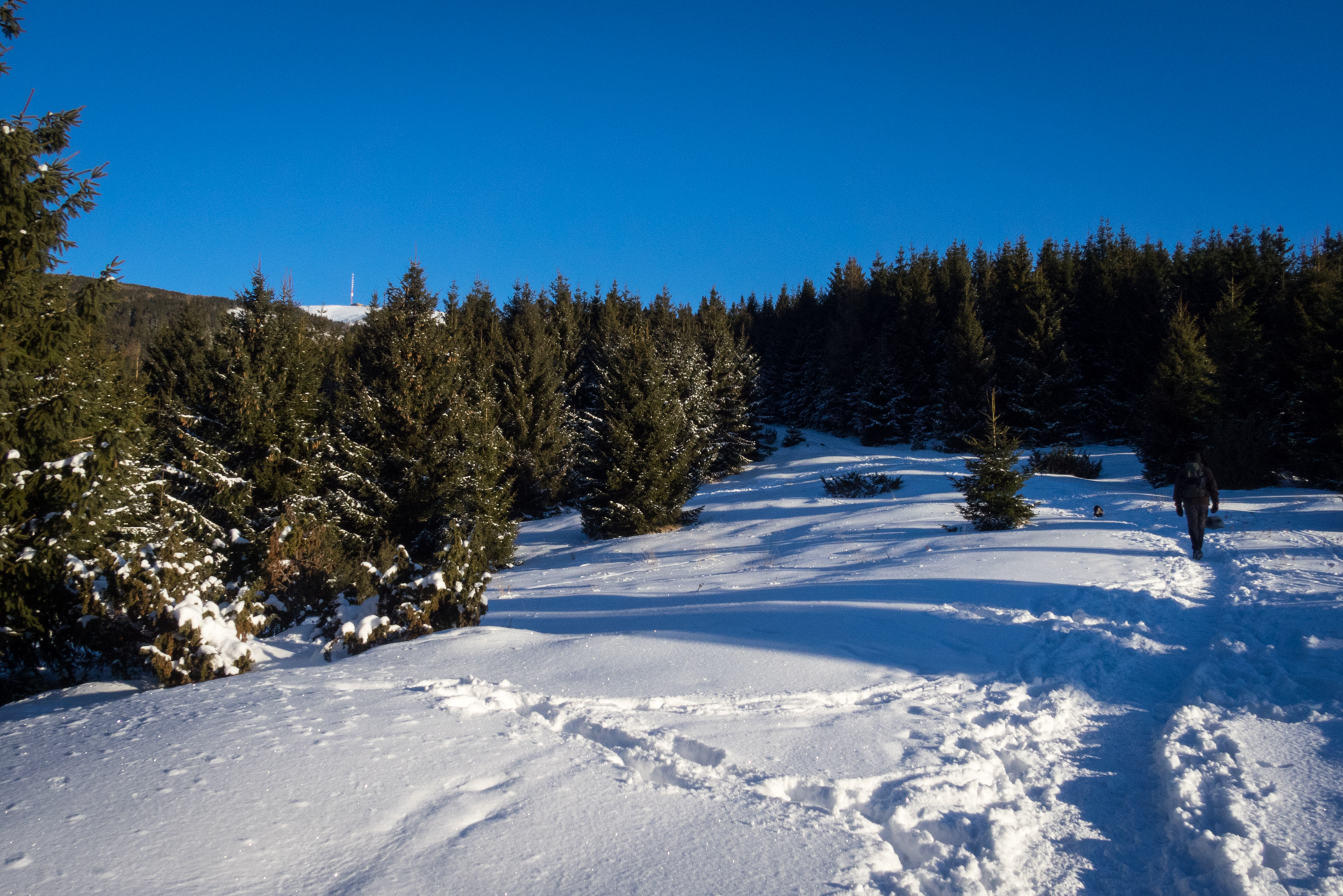 Kráľova hoľa zo Šumiaca (Nízke Tatry)