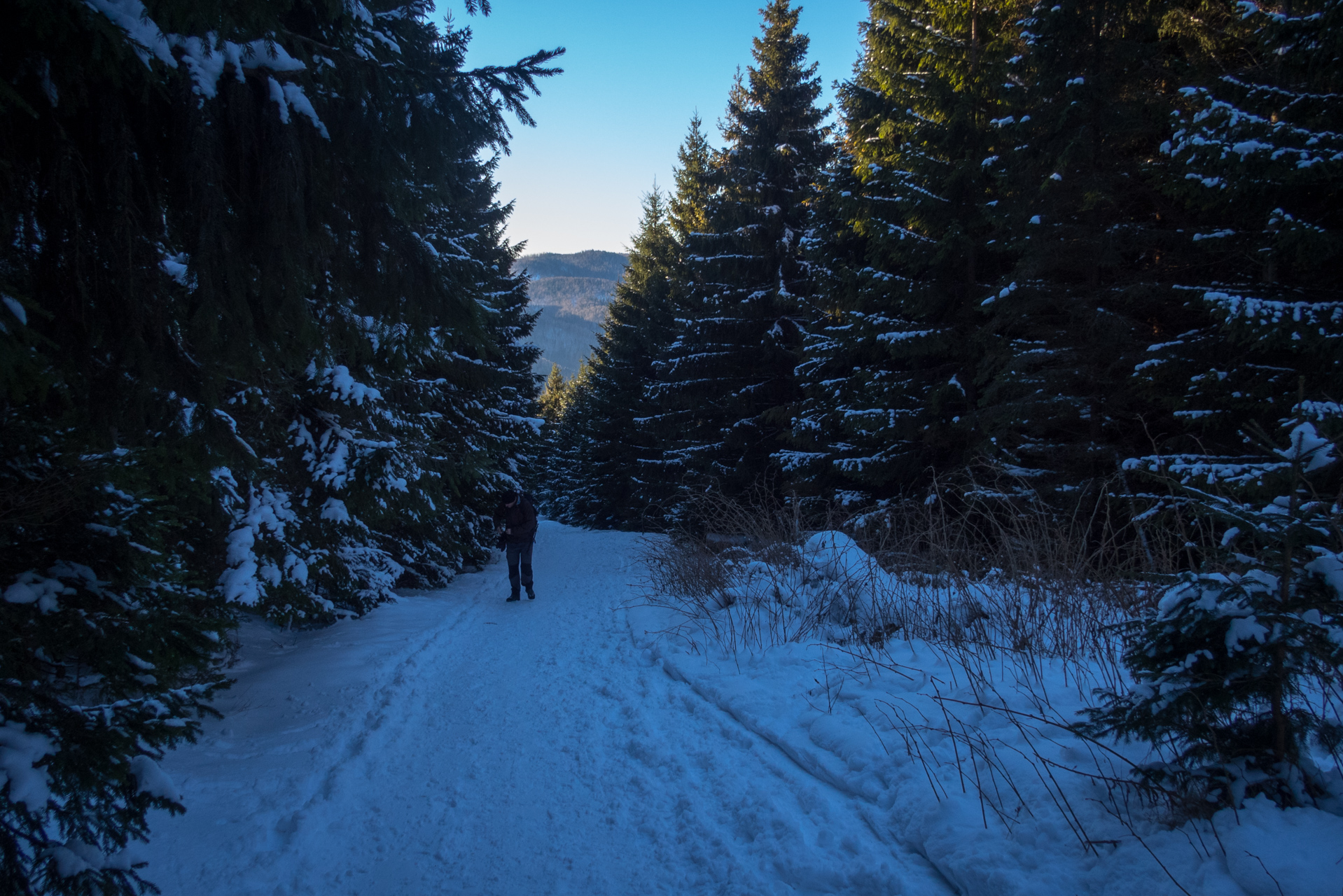 Kráľova hoľa zo Šumiaca (Nízke Tatry)