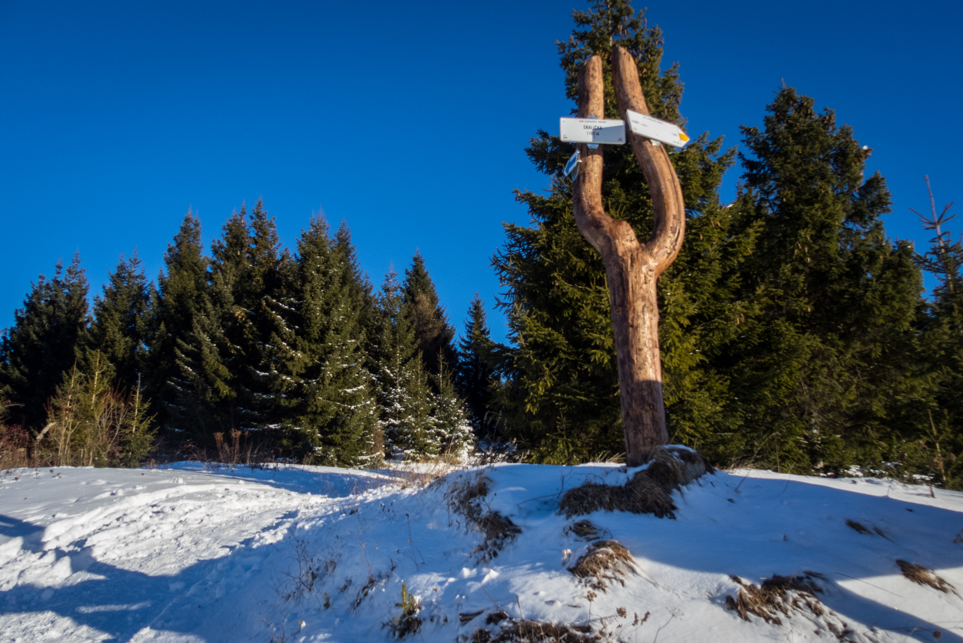 Kráľova hoľa zo Šumiaca (Nízke Tatry)