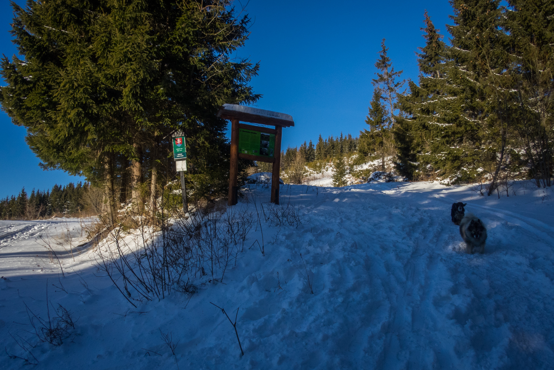 Kráľova hoľa zo Šumiaca (Nízke Tatry)