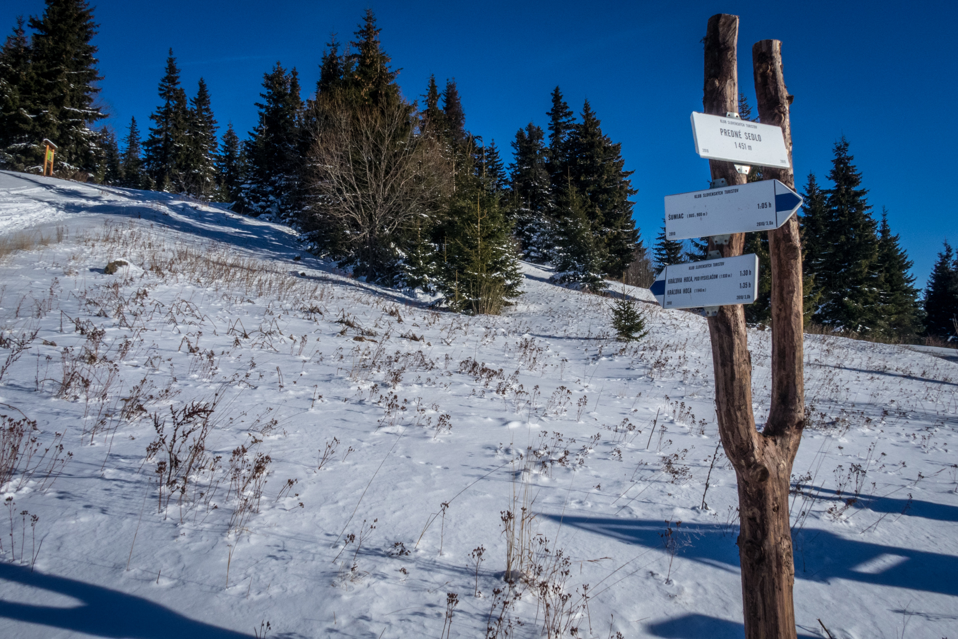 Kráľova hoľa zo Šumiaca (Nízke Tatry)