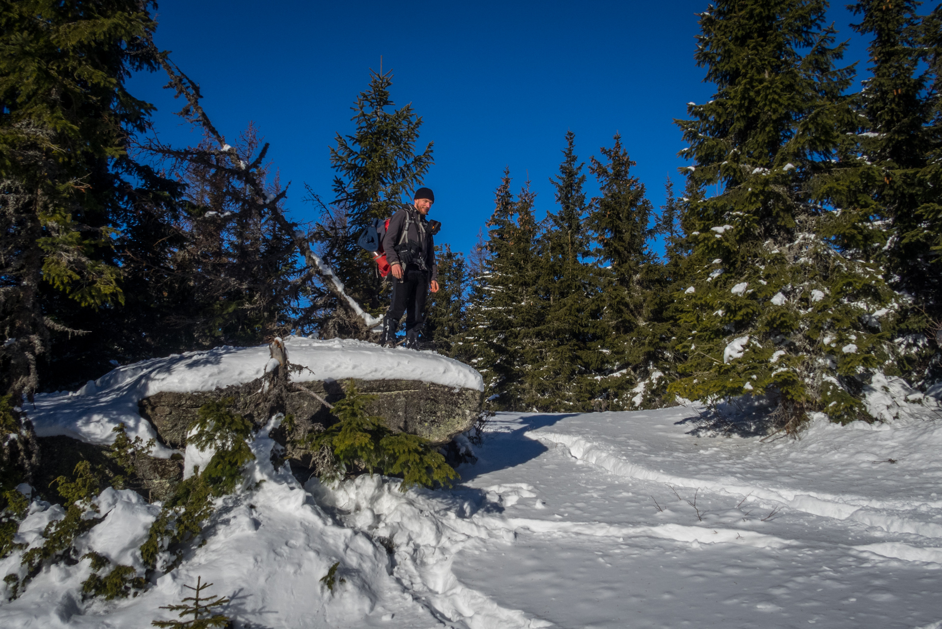 Kráľova hoľa zo Šumiaca (Nízke Tatry)