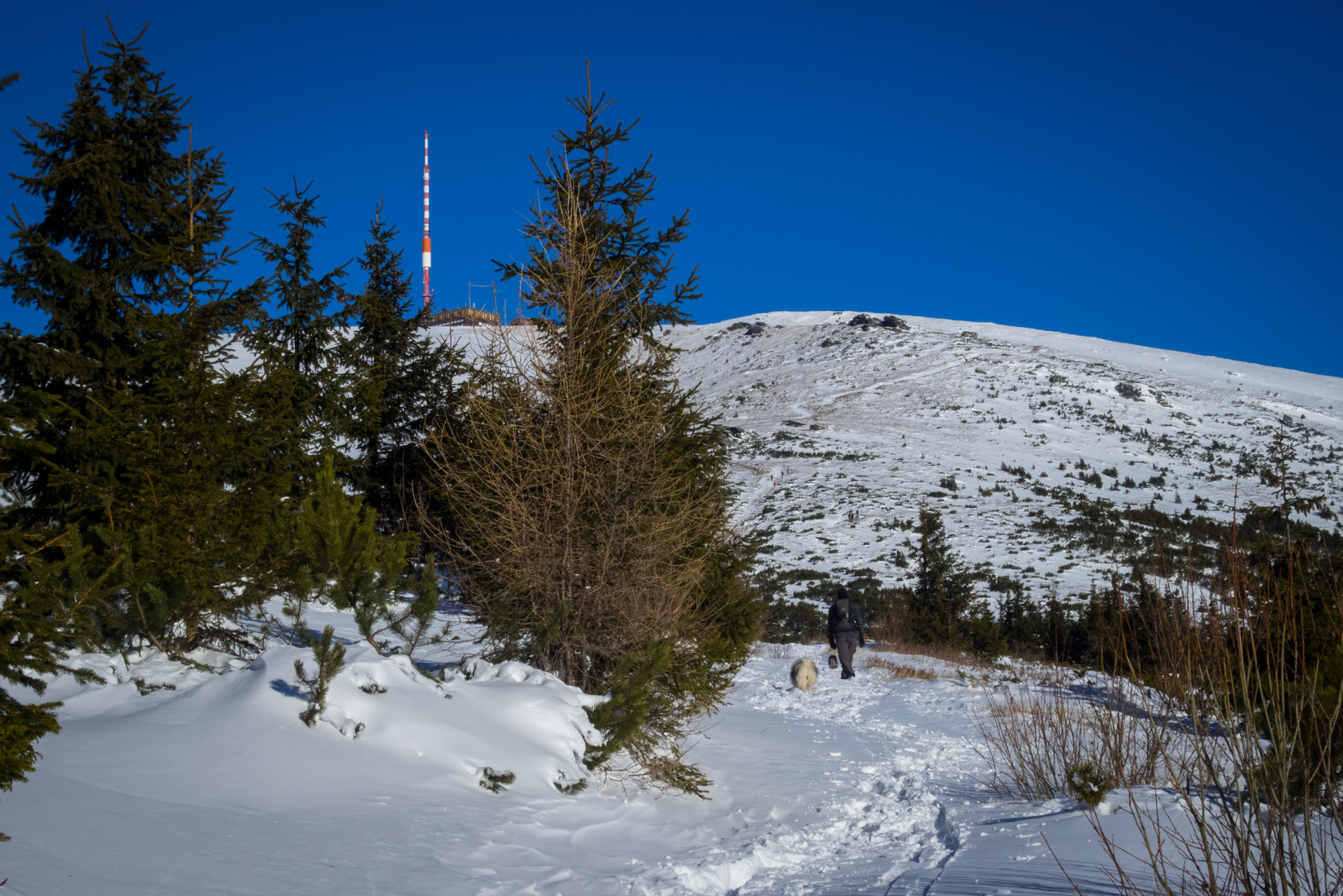 Kráľova hoľa zo Šumiaca (Nízke Tatry)