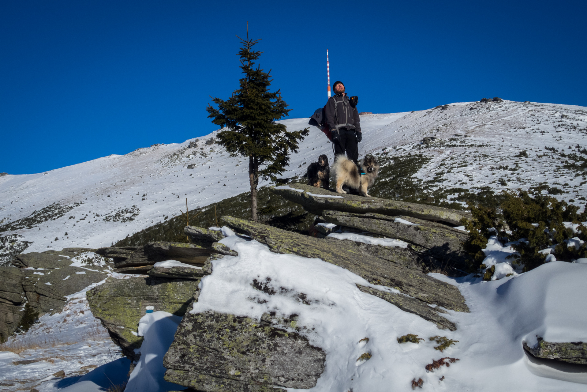 Kráľova hoľa zo Šumiaca (Nízke Tatry)