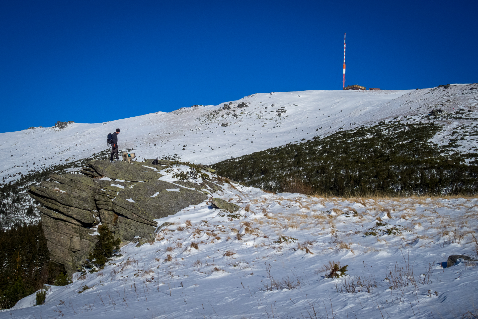 Kráľova hoľa zo Šumiaca (Nízke Tatry)