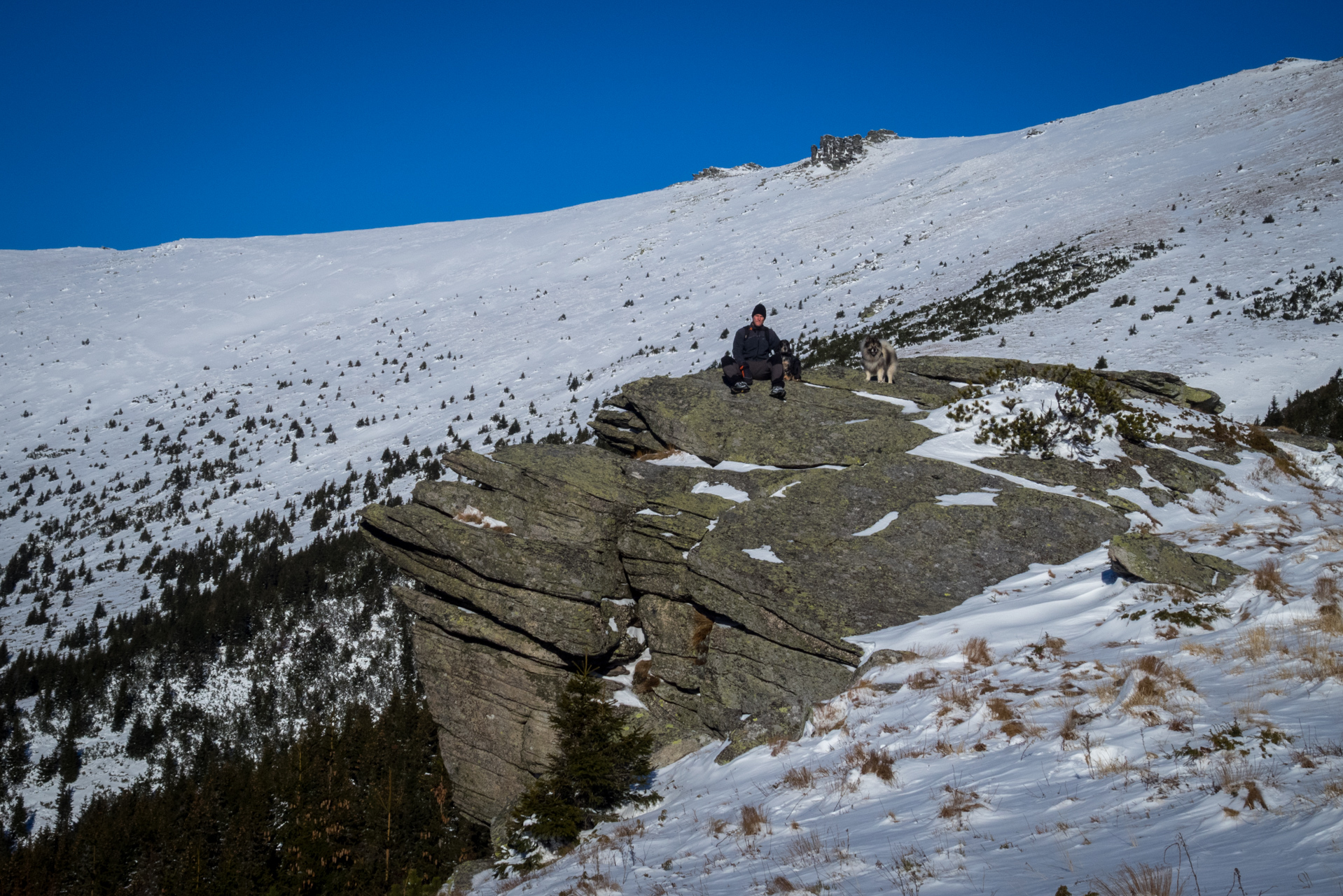 Kráľova hoľa zo Šumiaca (Nízke Tatry)