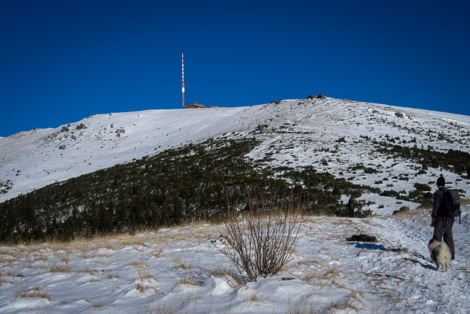 Kráľova hoľa zo Šumiaca (Nízke Tatry)