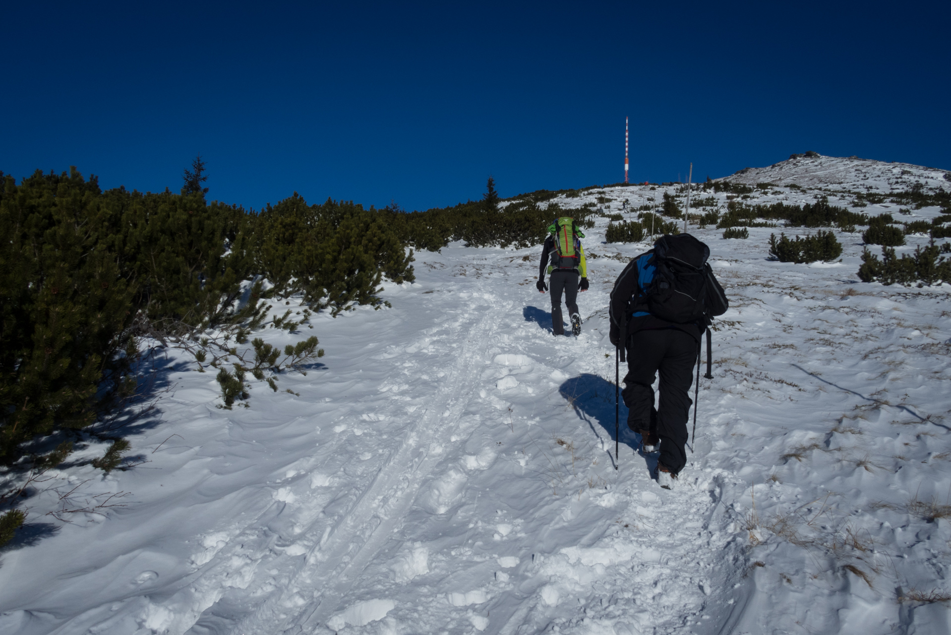 Kráľova hoľa zo Šumiaca (Nízke Tatry)