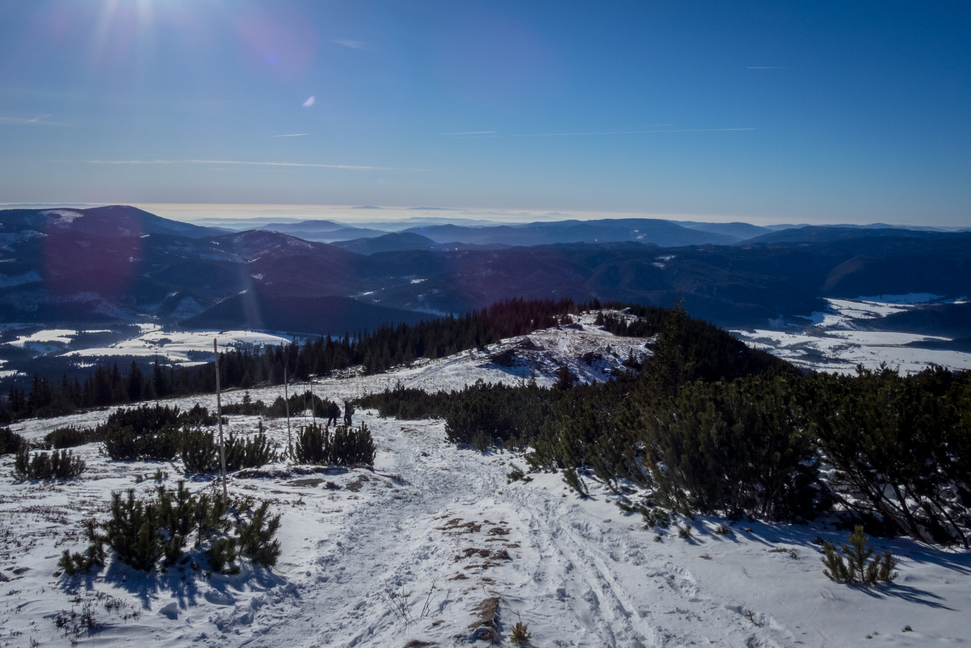 Kráľova hoľa zo Šumiaca (Nízke Tatry)