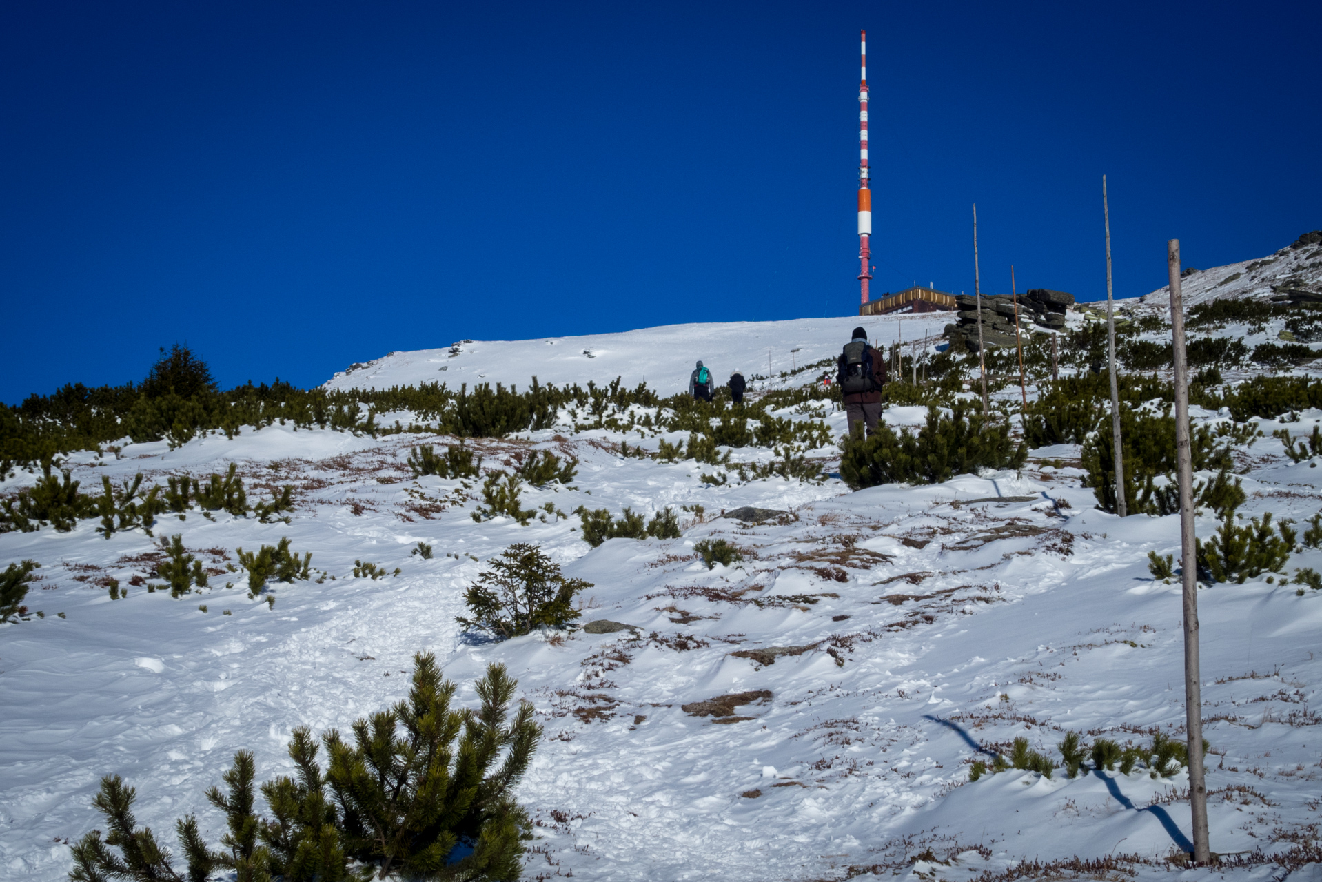 Kráľova hoľa zo Šumiaca (Nízke Tatry)