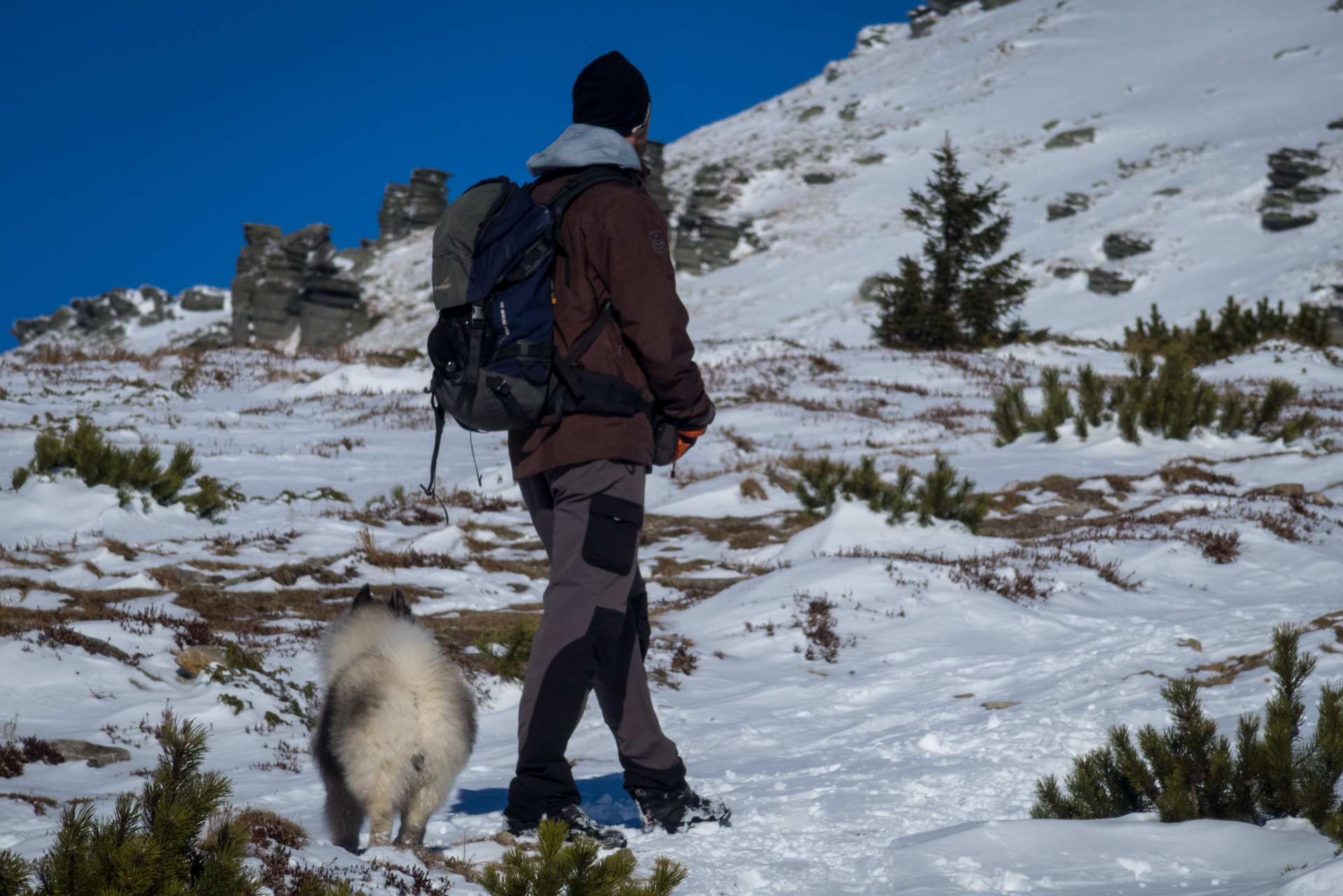 Kráľova hoľa zo Šumiaca (Nízke Tatry)