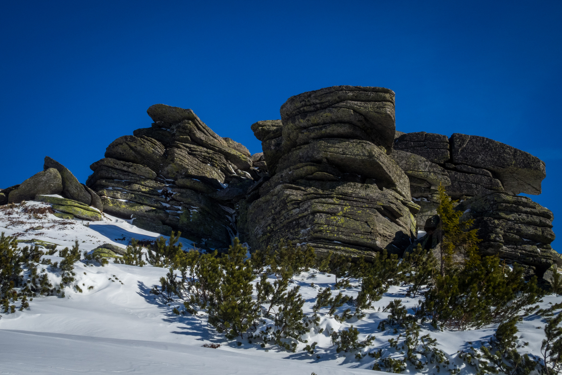 Kráľova hoľa zo Šumiaca (Nízke Tatry)