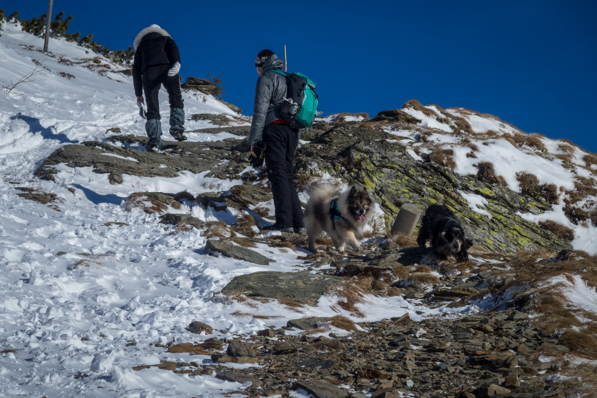 Kráľova hoľa zo Šumiaca (Nízke Tatry)