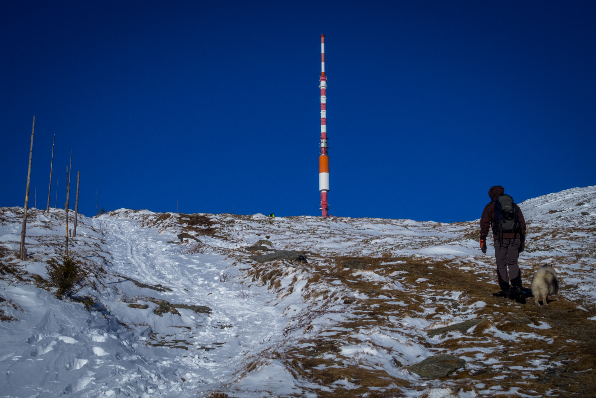 Kráľova hoľa zo Šumiaca (Nízke Tatry)