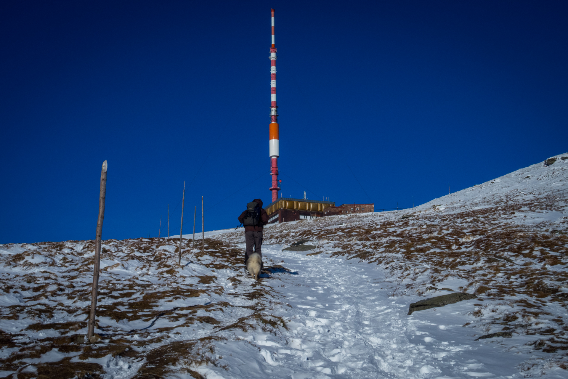 Kráľova hoľa zo Šumiaca (Nízke Tatry)