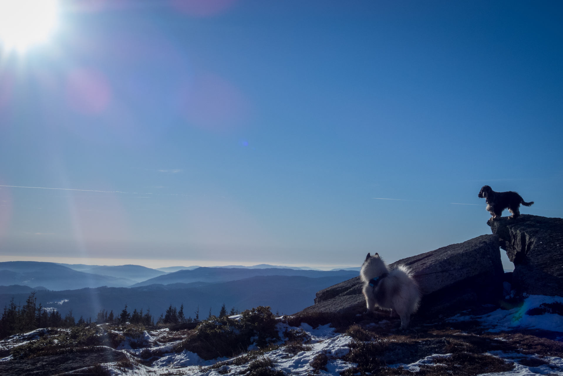 Kráľova hoľa zo Šumiaca (Nízke Tatry)