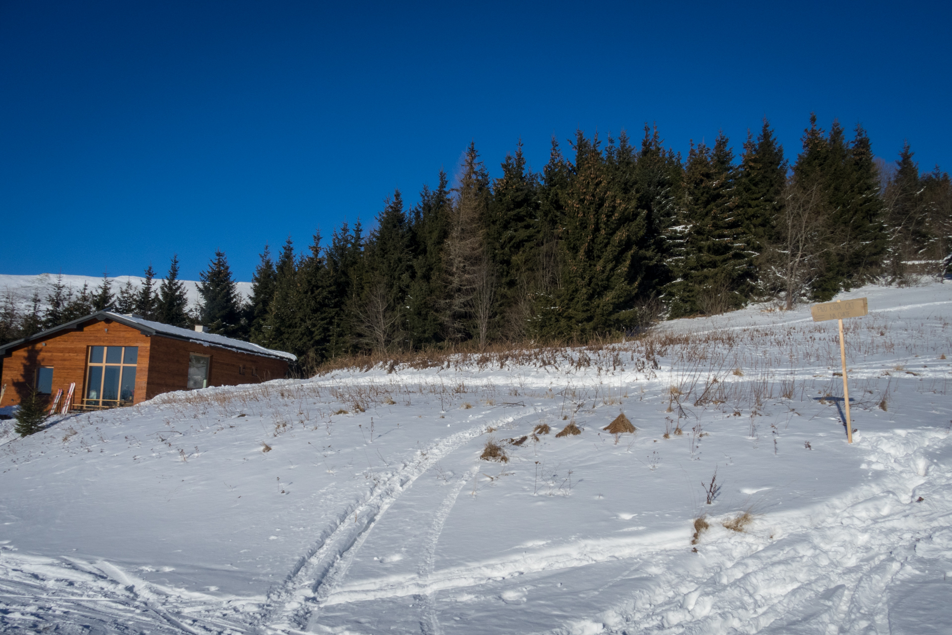 Kráľova hoľa zo Šumiaca (Nízke Tatry)