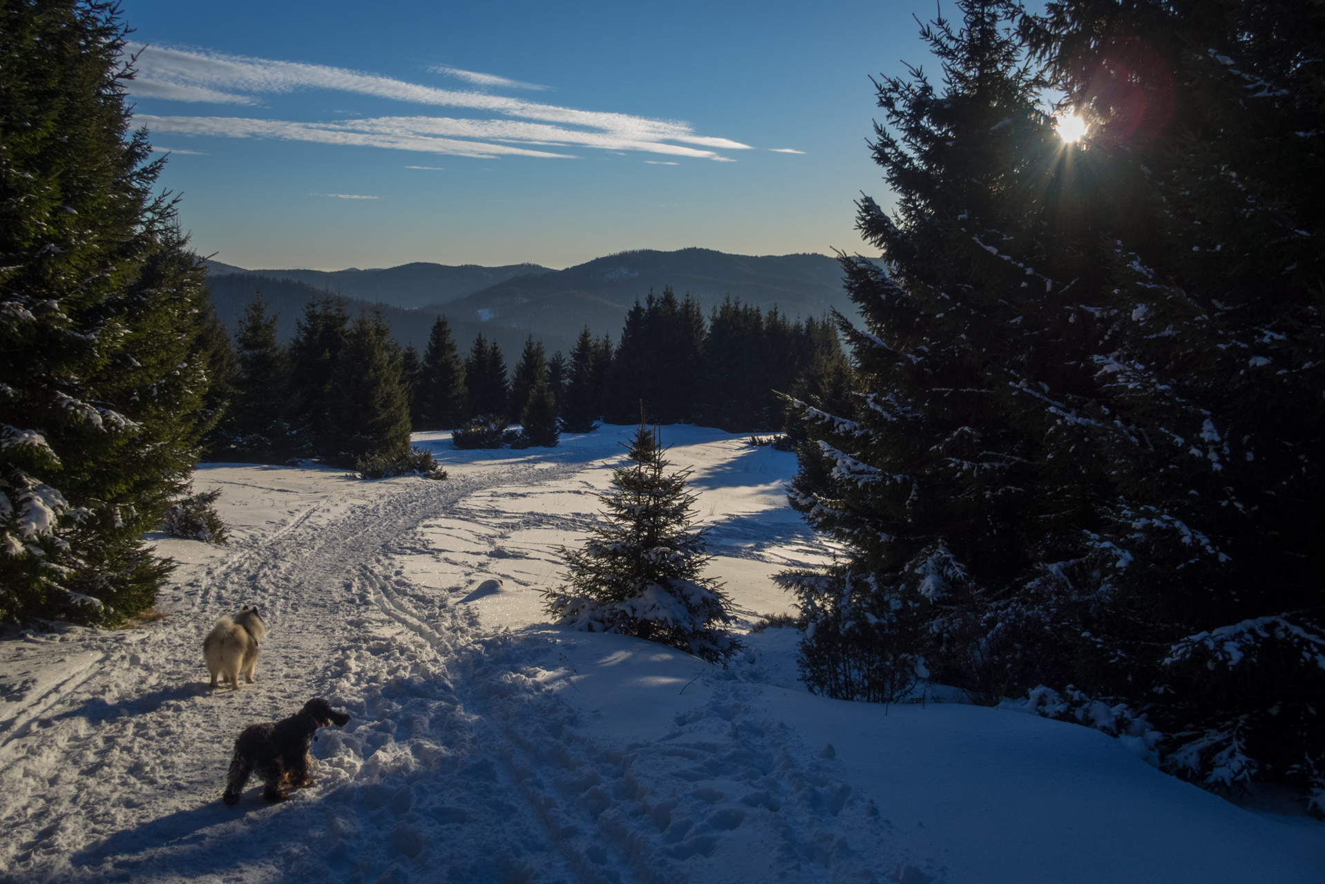 Kráľova hoľa zo Šumiaca (Nízke Tatry)