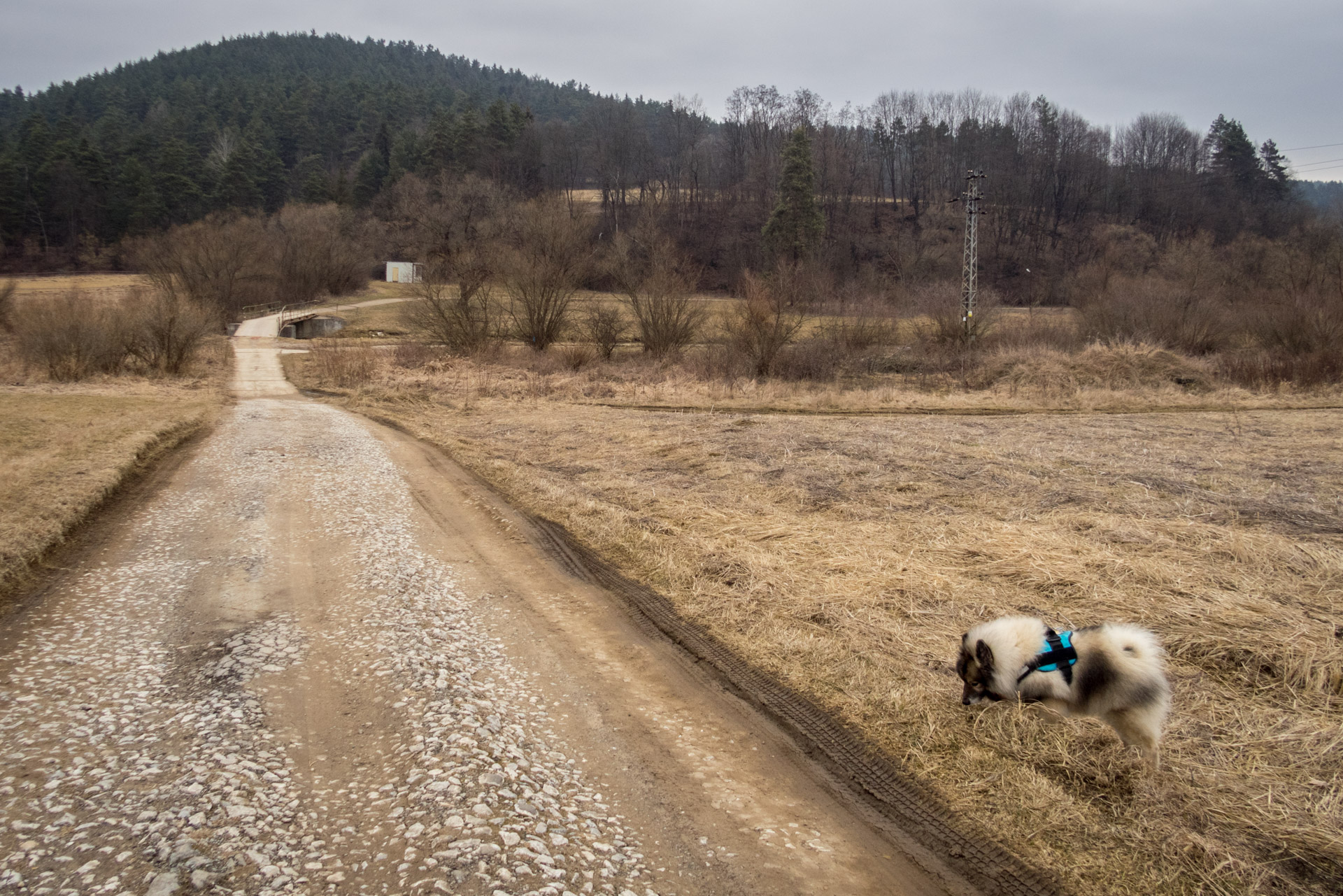 Markušovský skalný hríb a Šikľavá skala (Volovské vrchy)