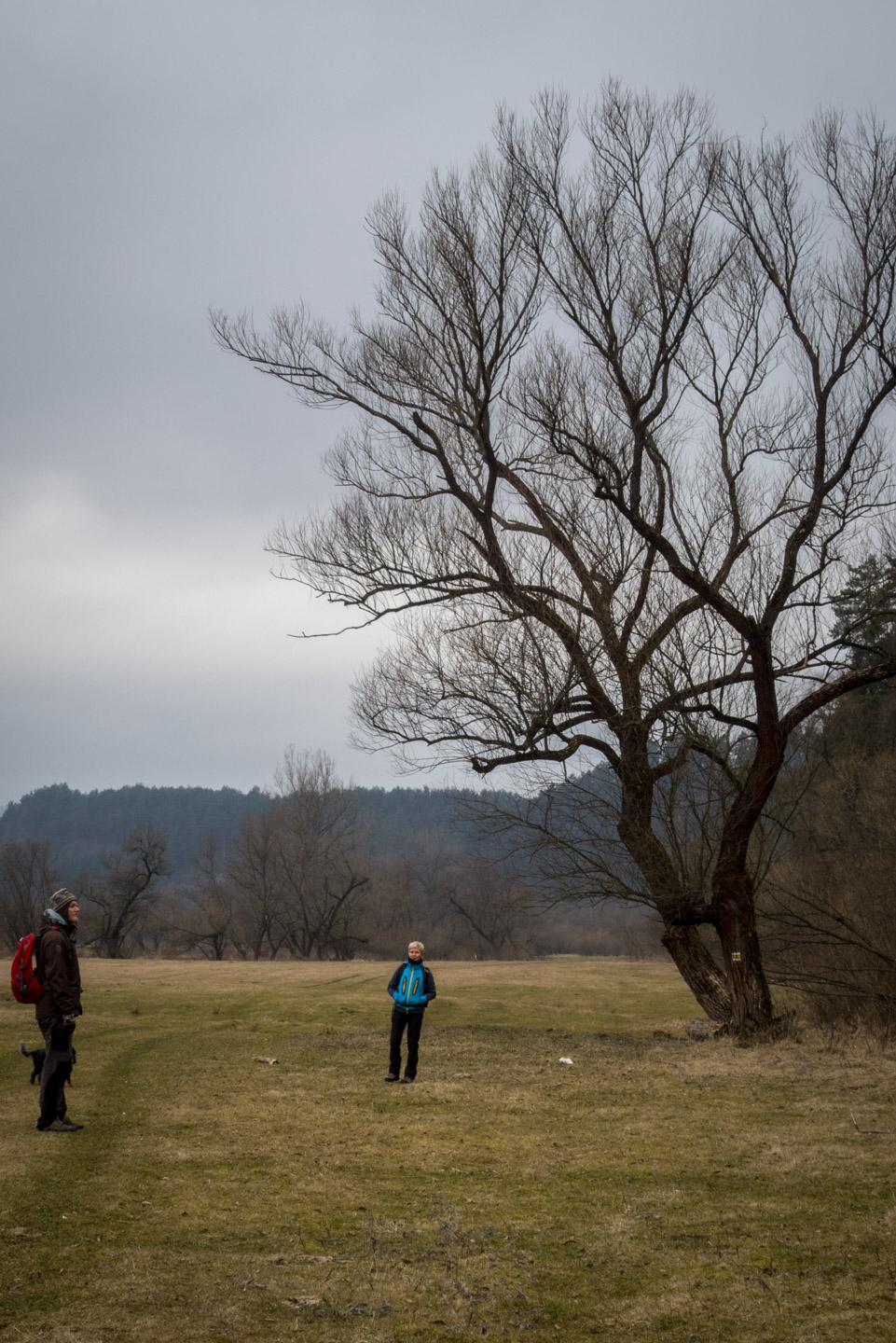 Markušovský skalný hríb a Šikľavá skala (Volovské vrchy)