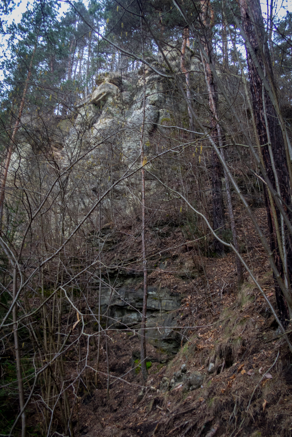 Markušovský skalný hríb a Šikľavá skala (Volovské vrchy)