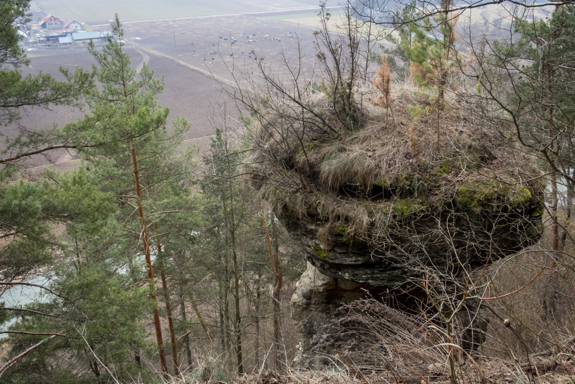 Markušovský skalný hríb a Šikľavá skala (Volovské vrchy)