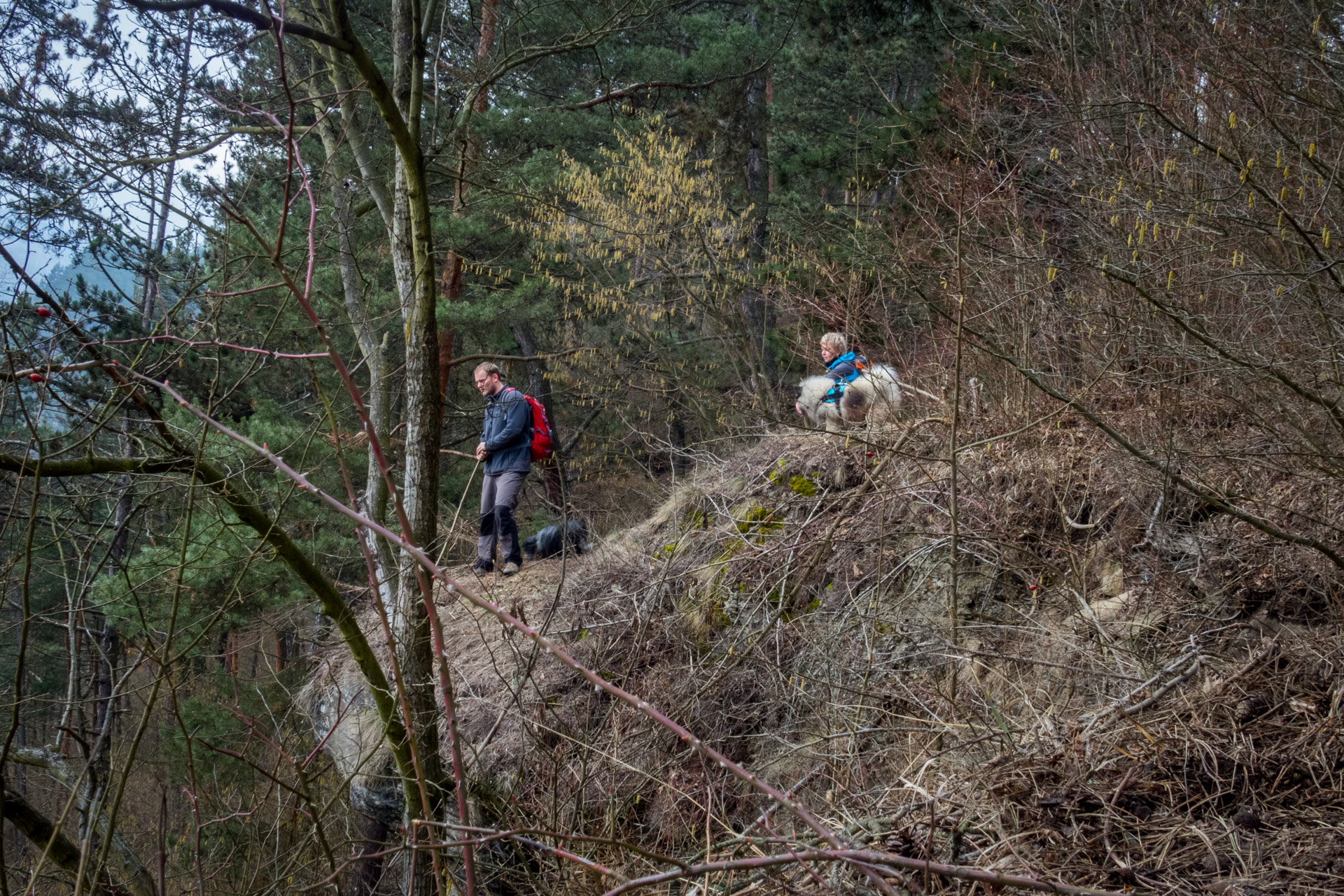 Markušovský skalný hríb a Šikľavá skala (Volovské vrchy)