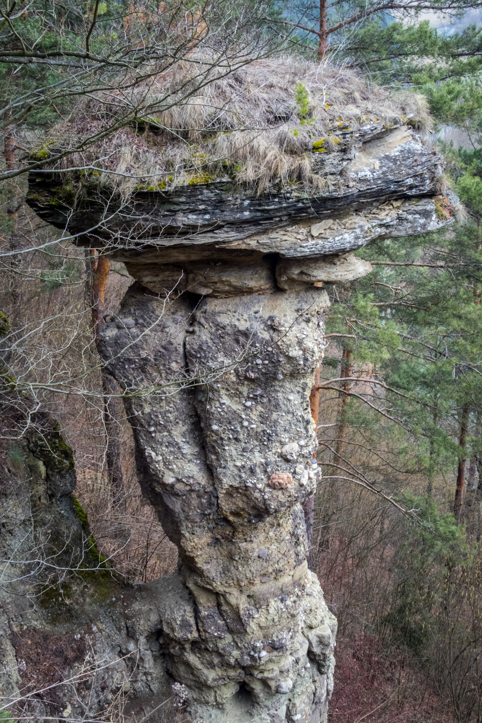 Markušovský skalný hríb a Šikľavá skala (Volovské vrchy)